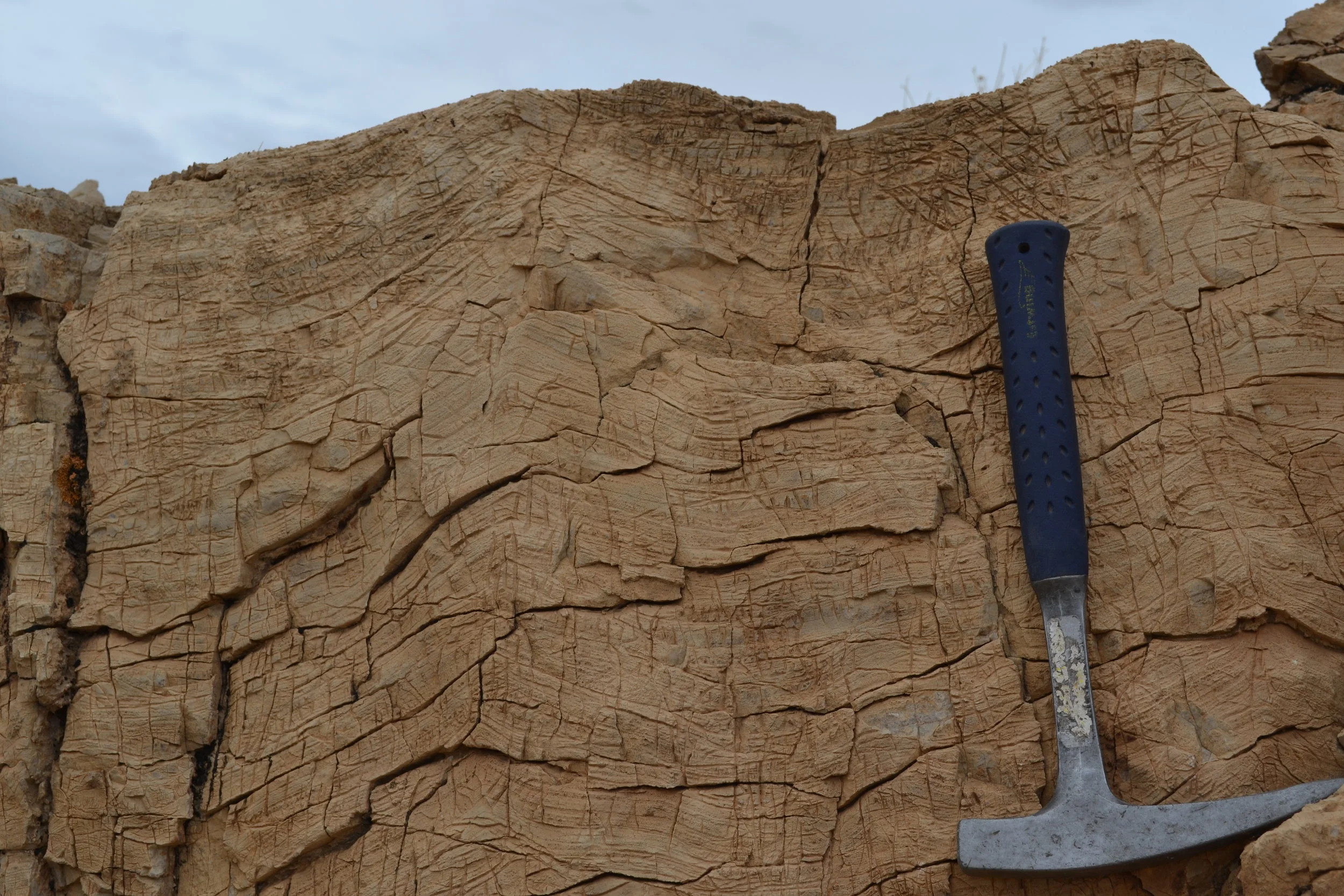  Characteristic 'giant wave ripples' of the Marinoan cap carbonate 