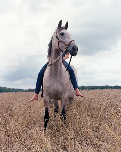 thathorse_unison.jpg