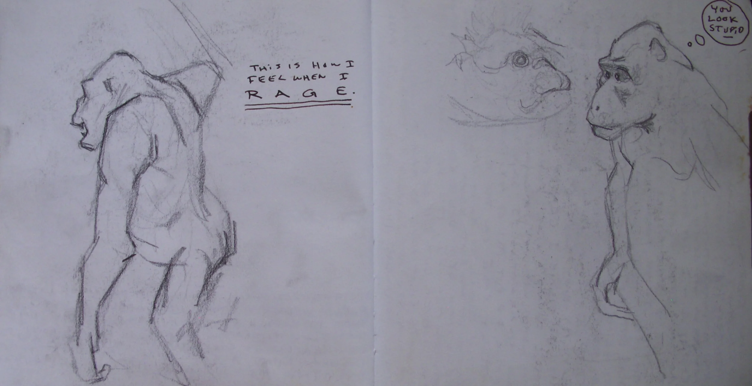 DSCN0377.jpg