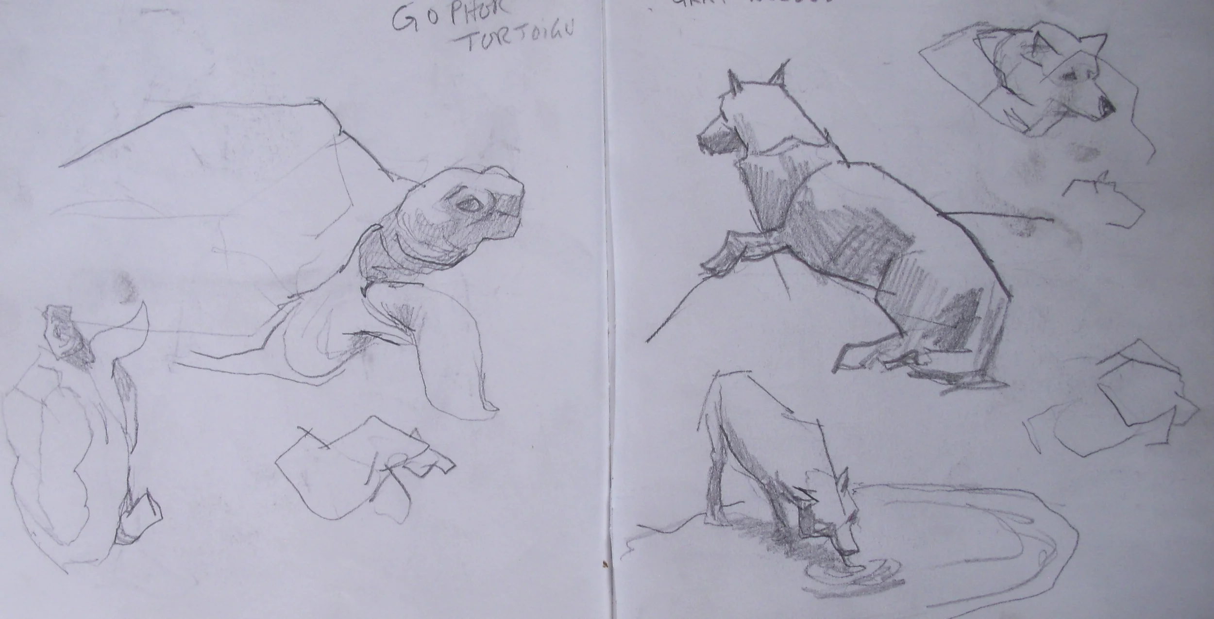 DSCN0394.jpg