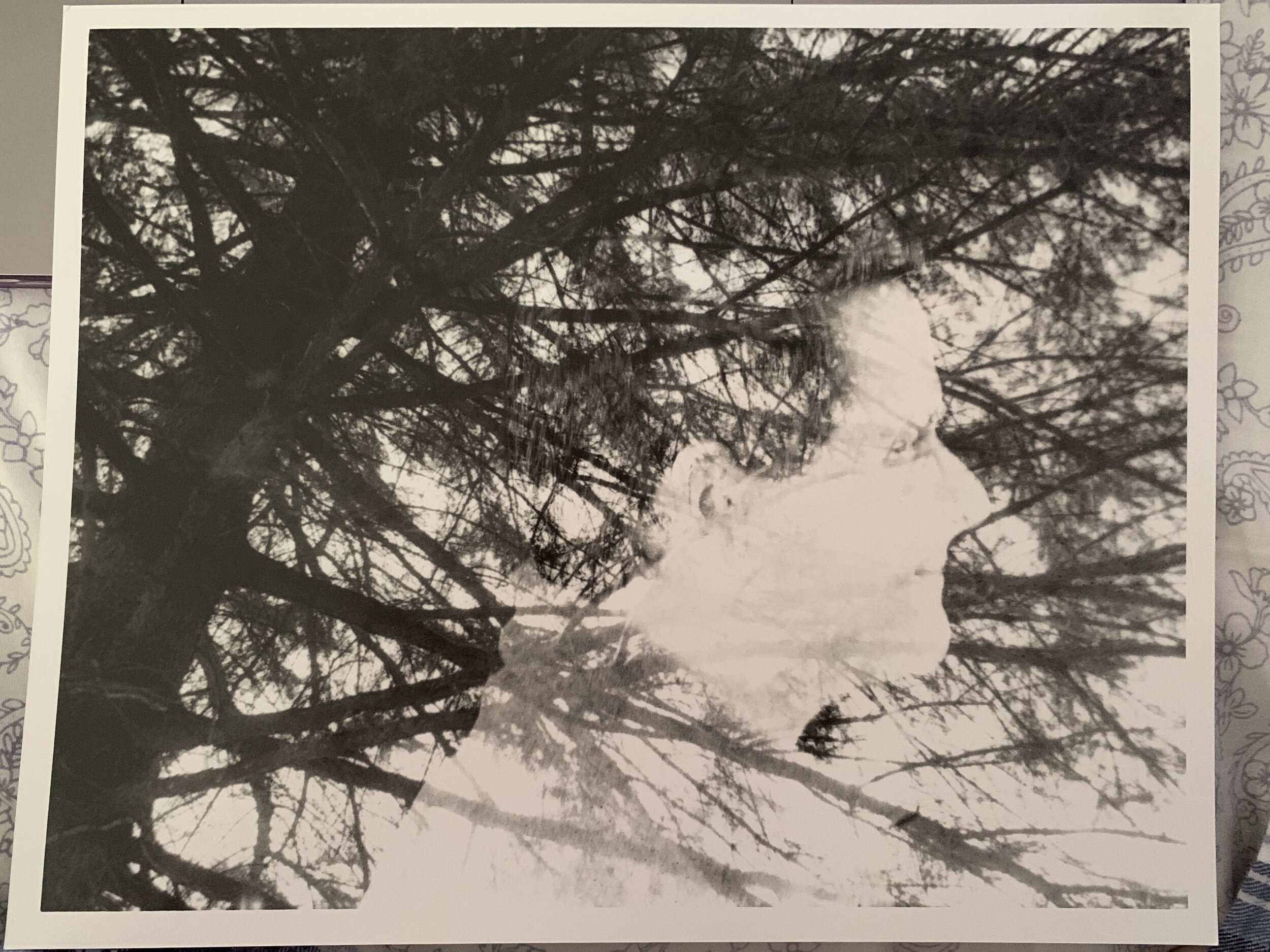 Danielle CMG_1954.jpg