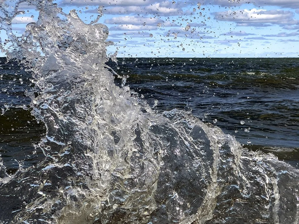 Elyse_Shapiro_01 Wavess.jpg