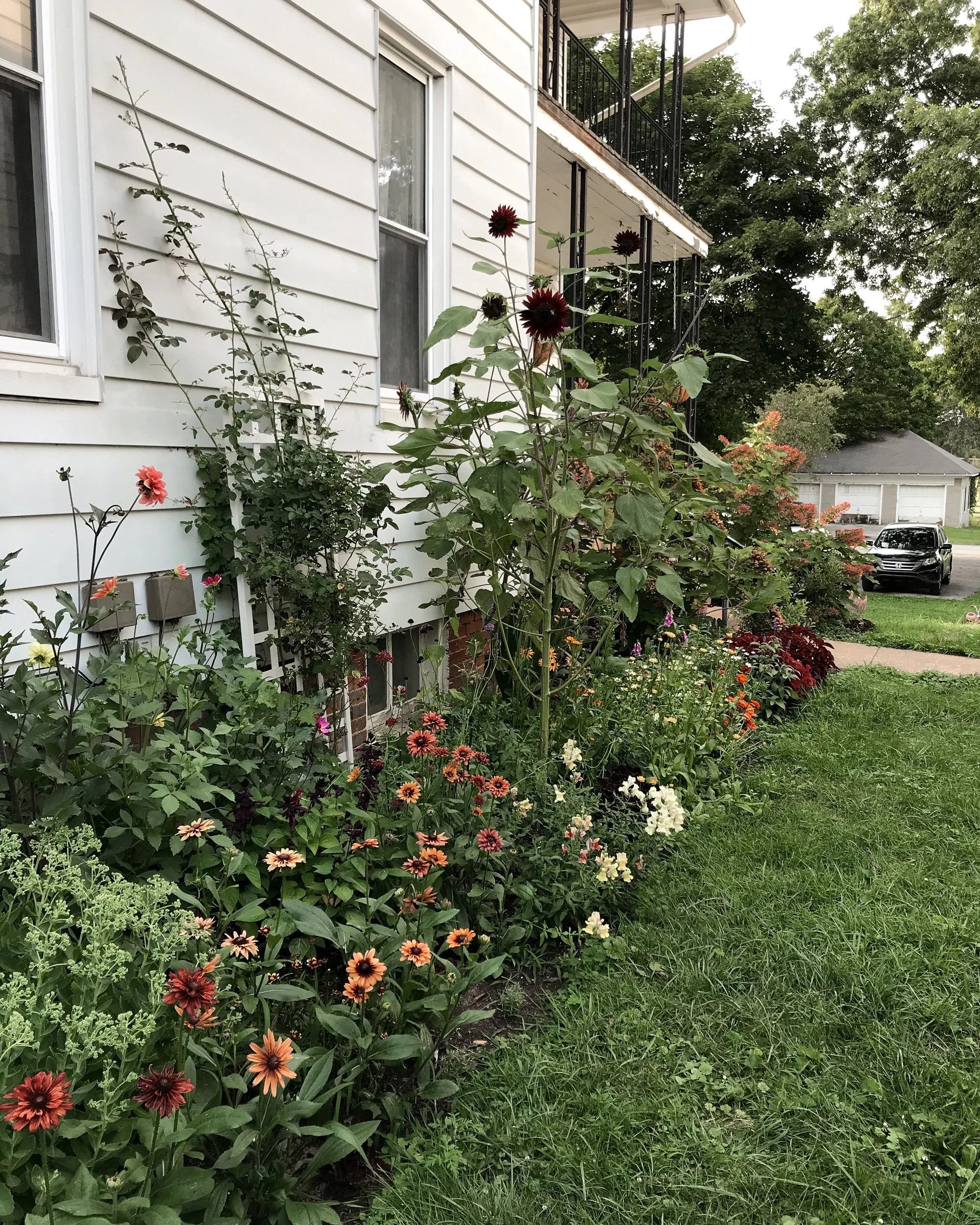 A Year in My Garden