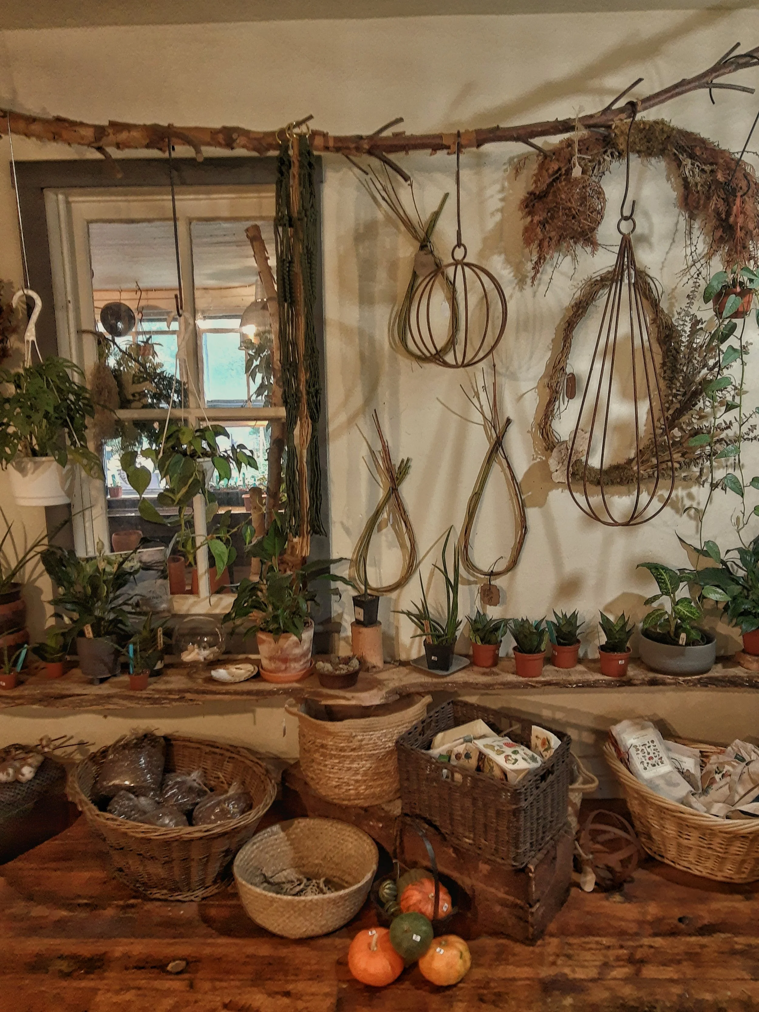 Muhly & Cedar | Shrewsbury, PA