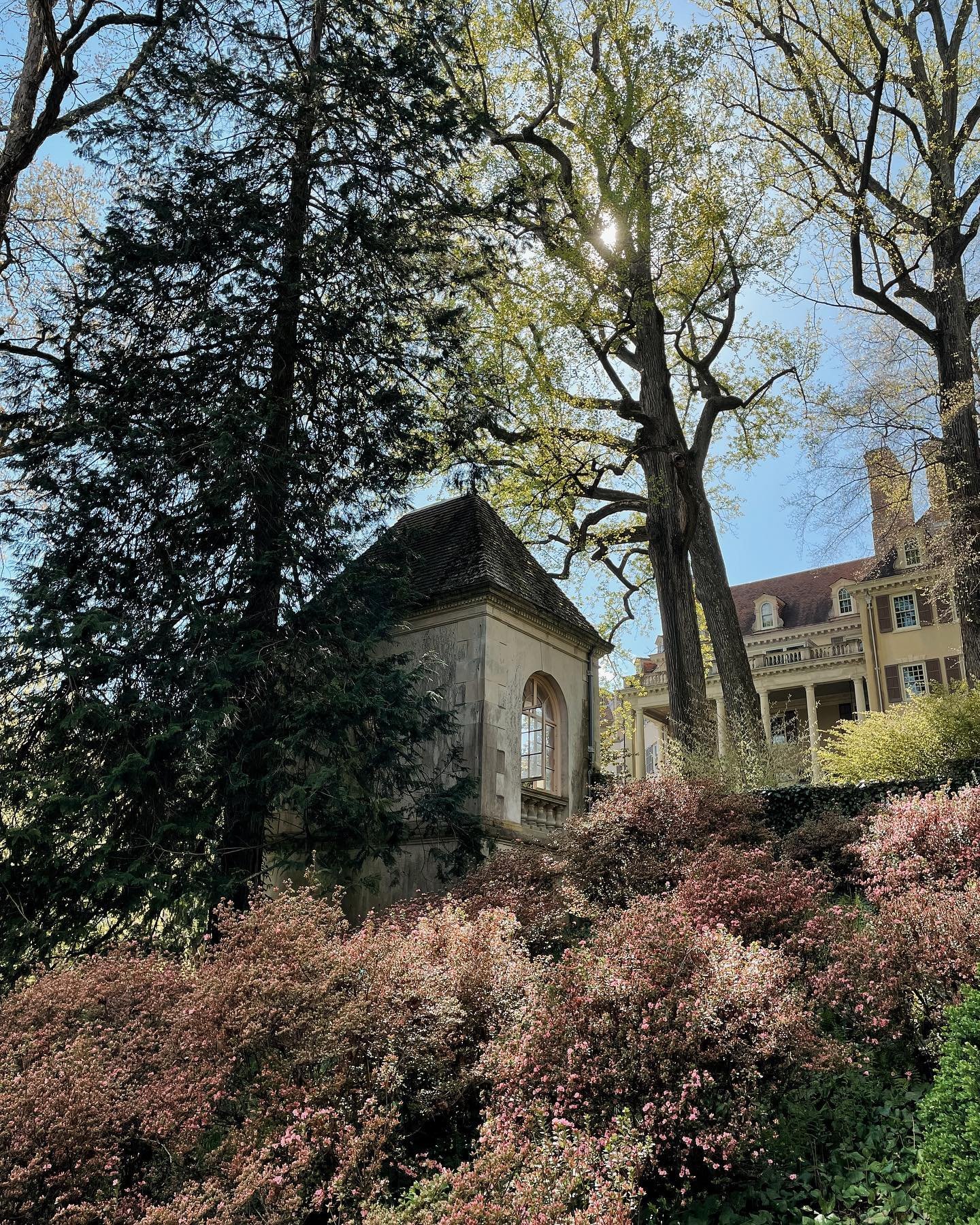 Our afternoon at Winterthur Gardens 
CQC&rsquo;s Spring Field Trip
April 20th, 2024 
@winterthurmuse