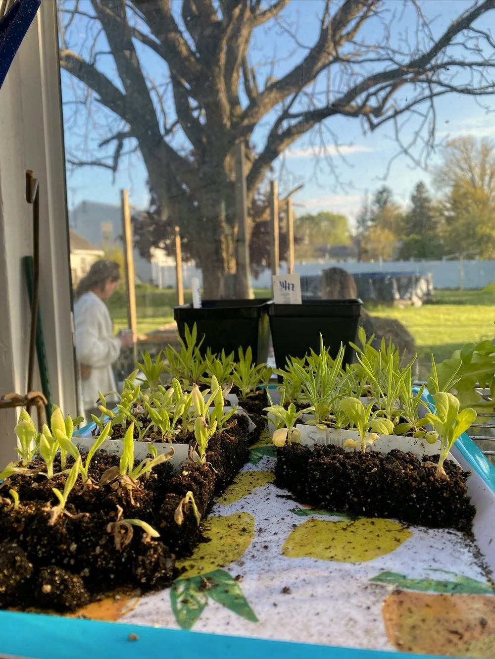 CQC Garden Walk - 29.jpeg