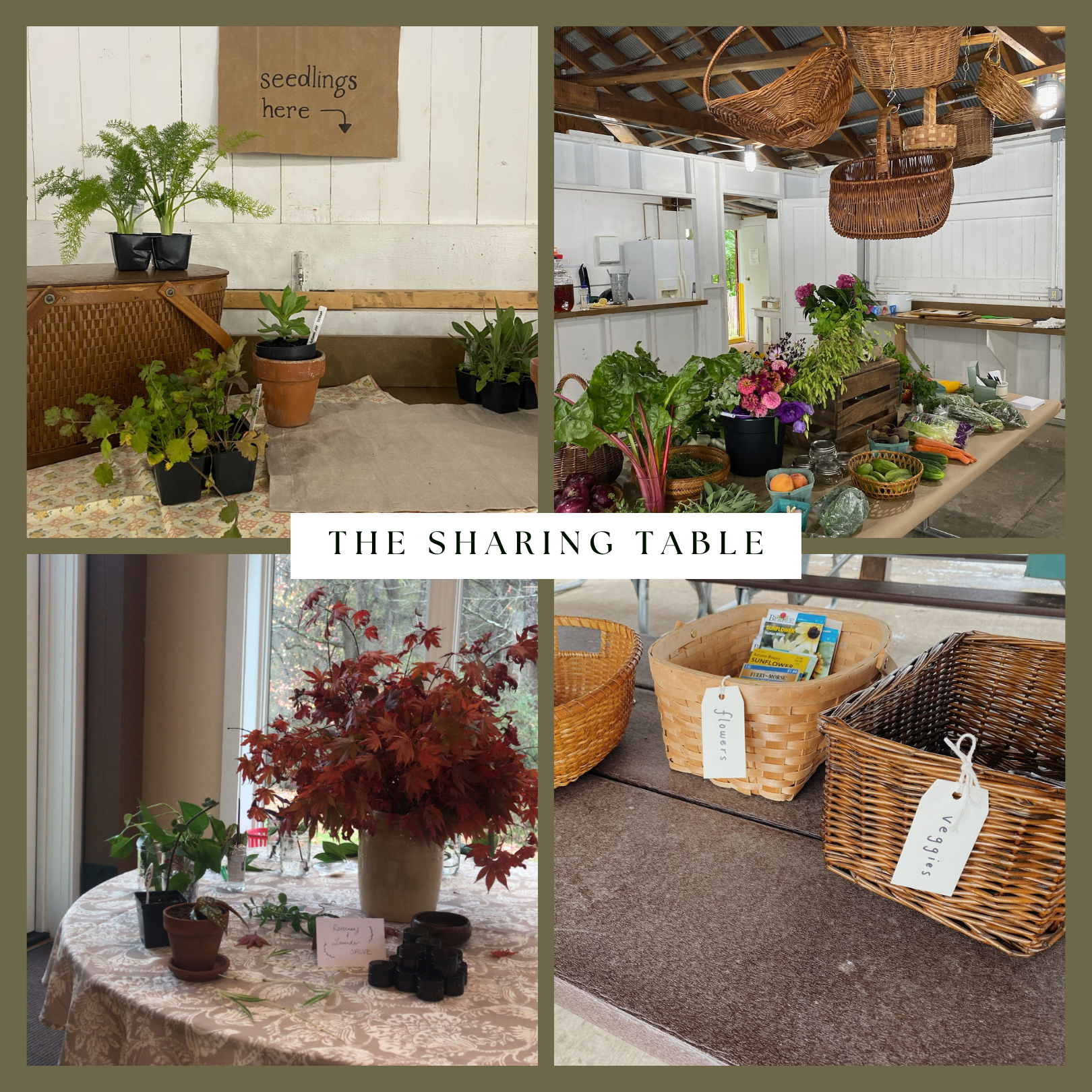 Sharable Table The Sharing Table — Stevie Storck