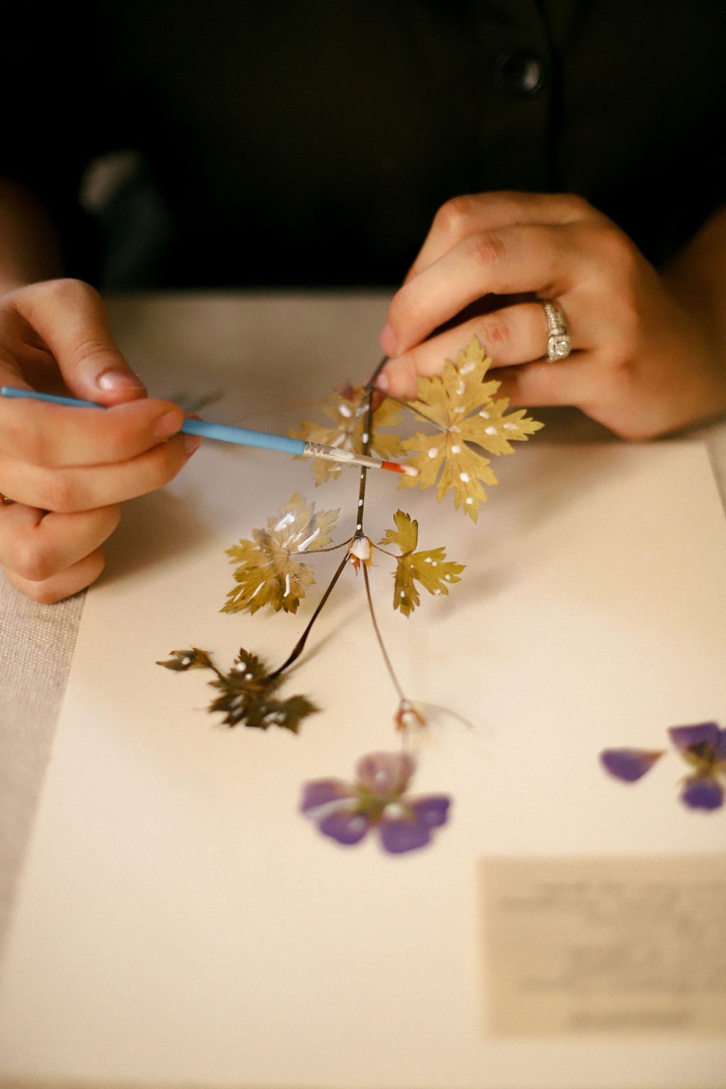 How to make pressed flowers and pressed flower art - Sweet Valley Acres