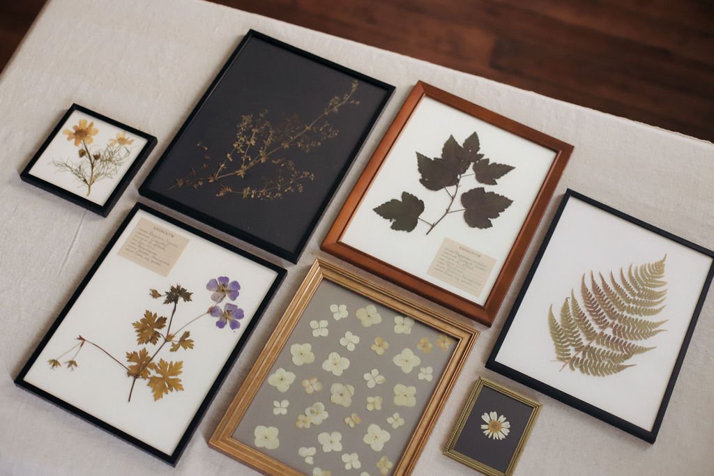 How to Make a Pressed Flower Frame