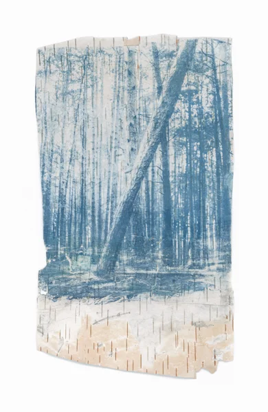 In the Woods (50)