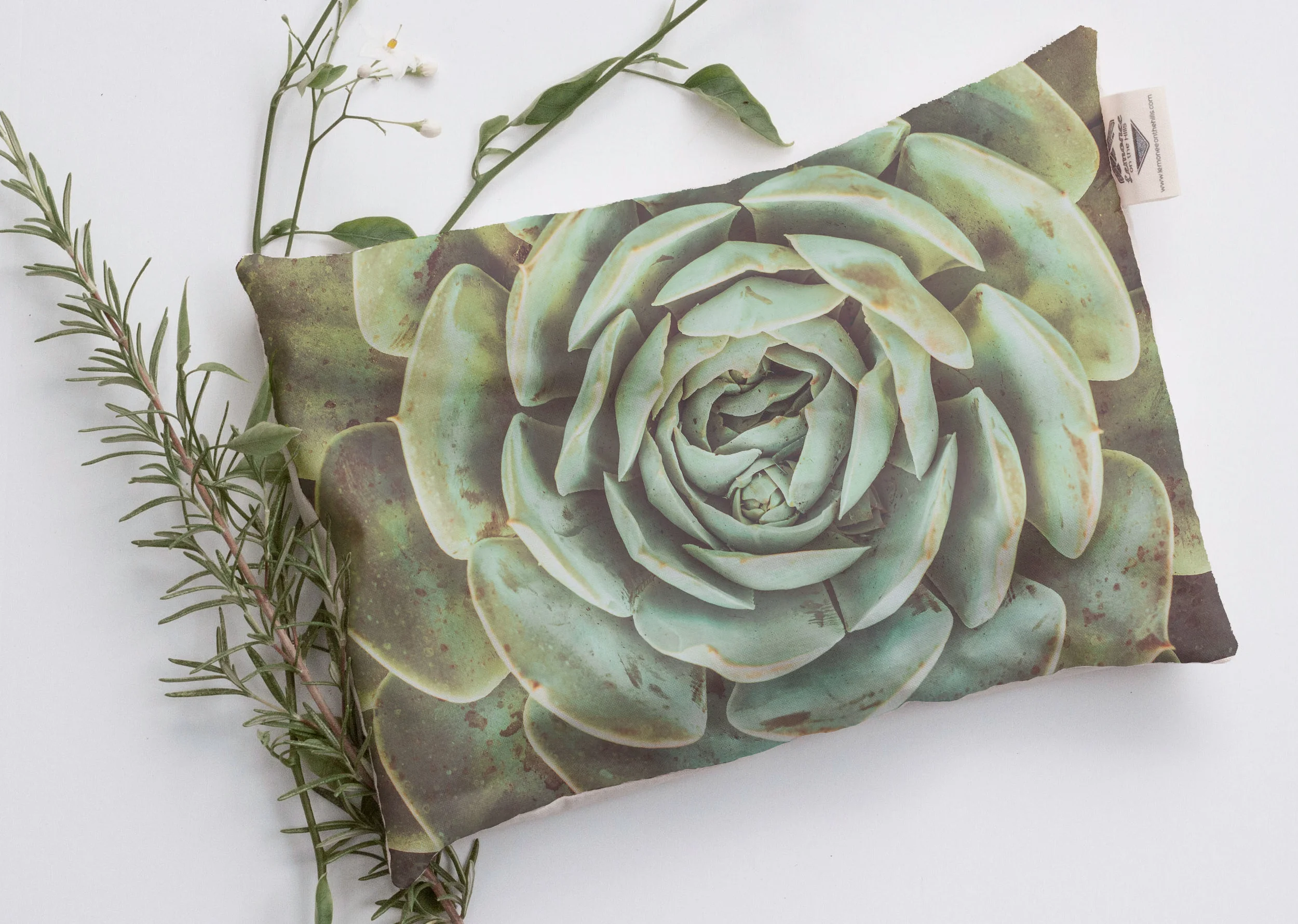 succulent heat pad