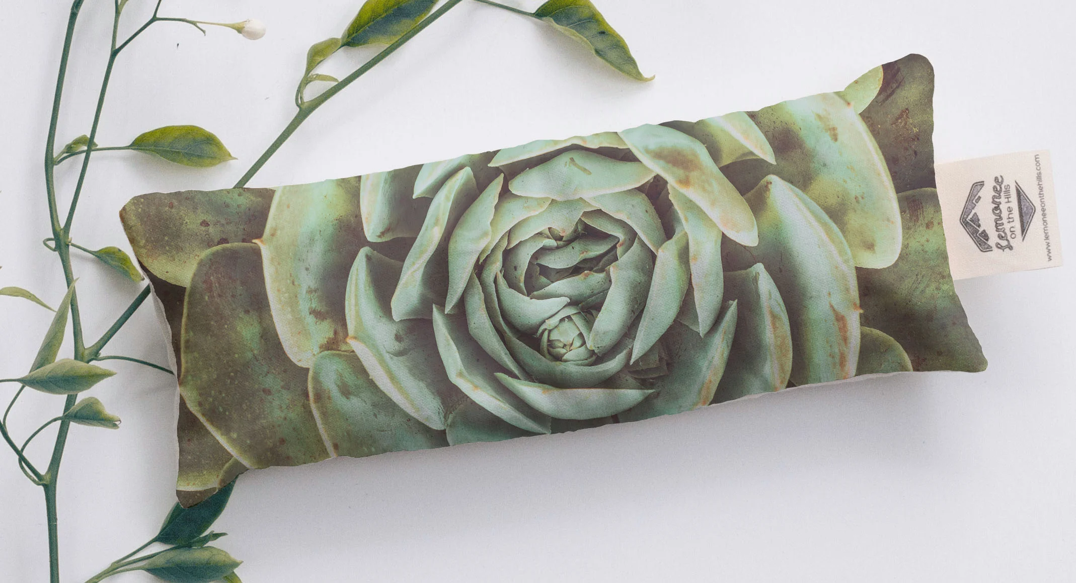 succulent heat pad