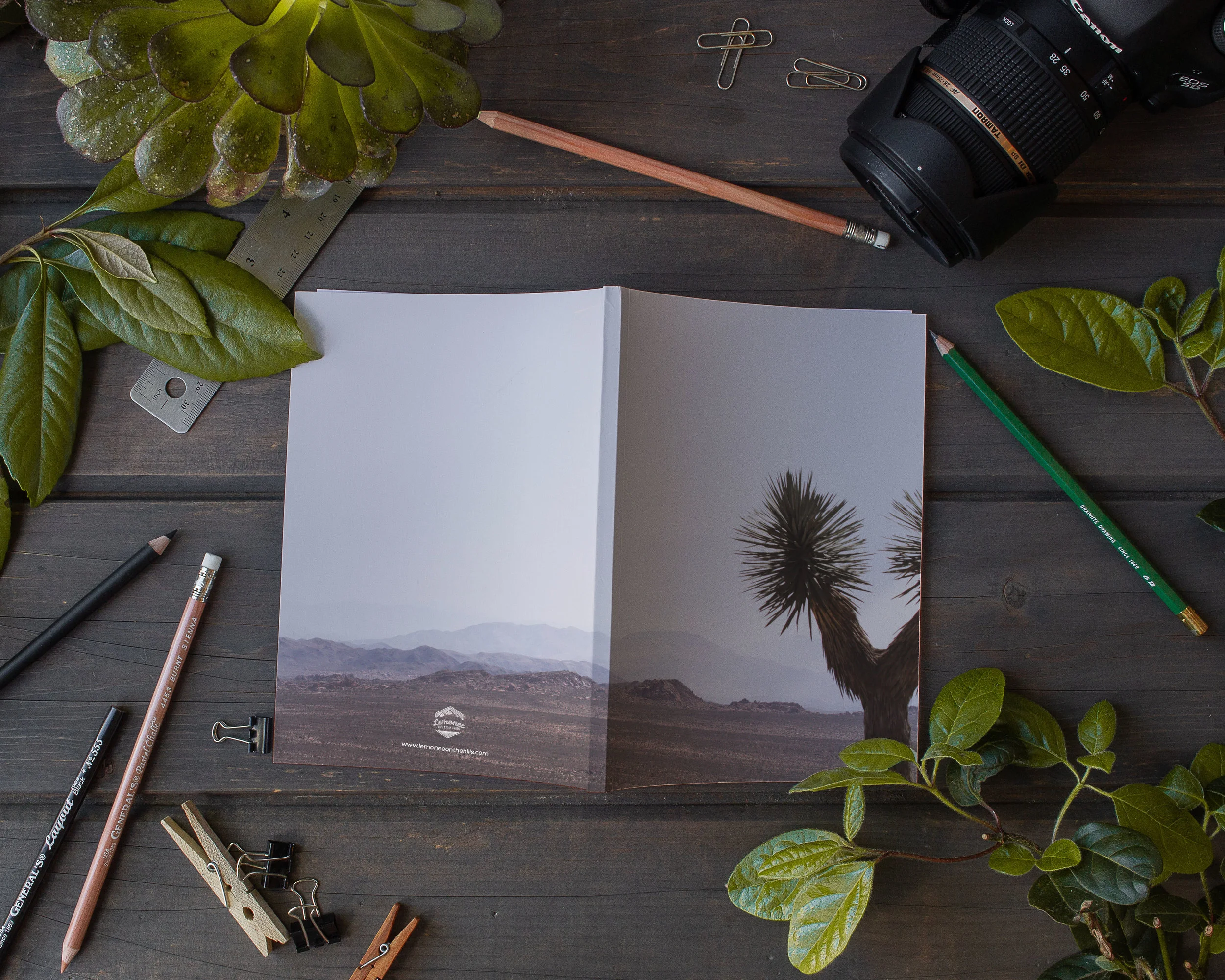 Journal S6 Dry Land 5958 O.jpg