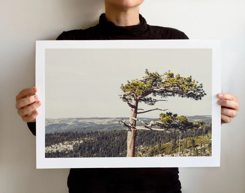 LonelyTree%2BMEL%2B13X19.jpg,