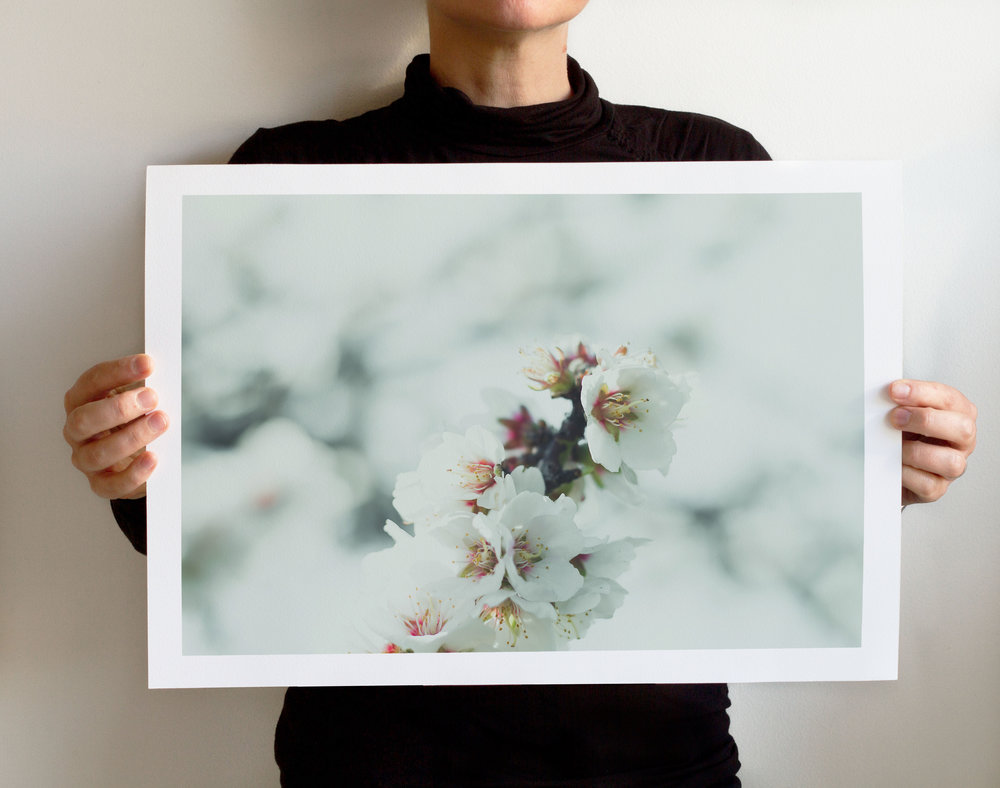 2017+Efflorescence+5332+ART+PRINT+MAQUETTE.jpg,