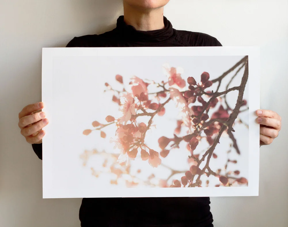 SS2016+Efflorescence+6556+MEL+13X19.jpg,