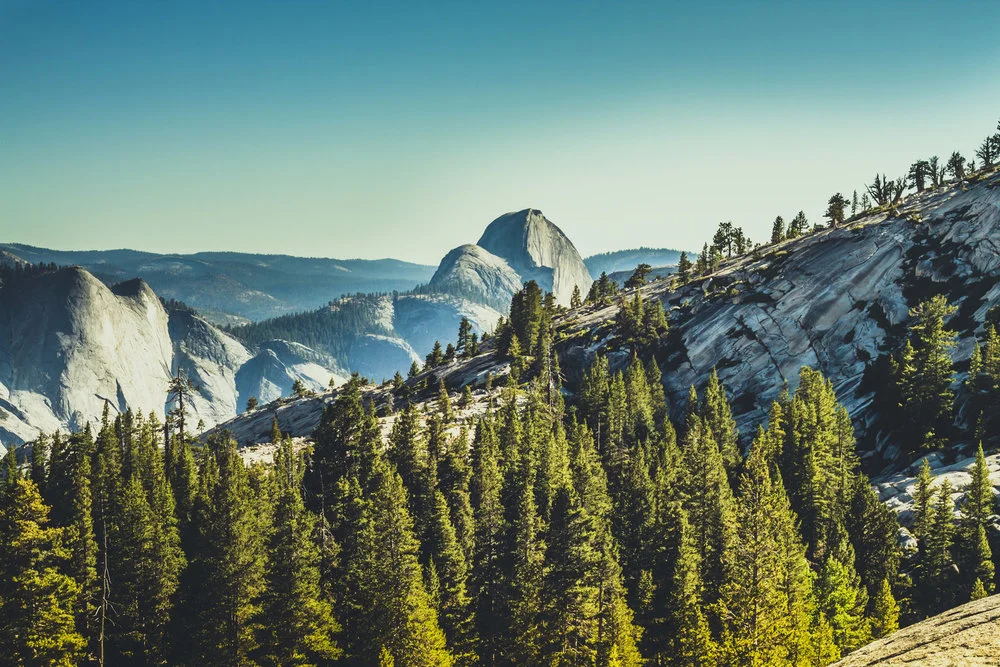 SS2016%2BYosemite%2B8433.jpg,