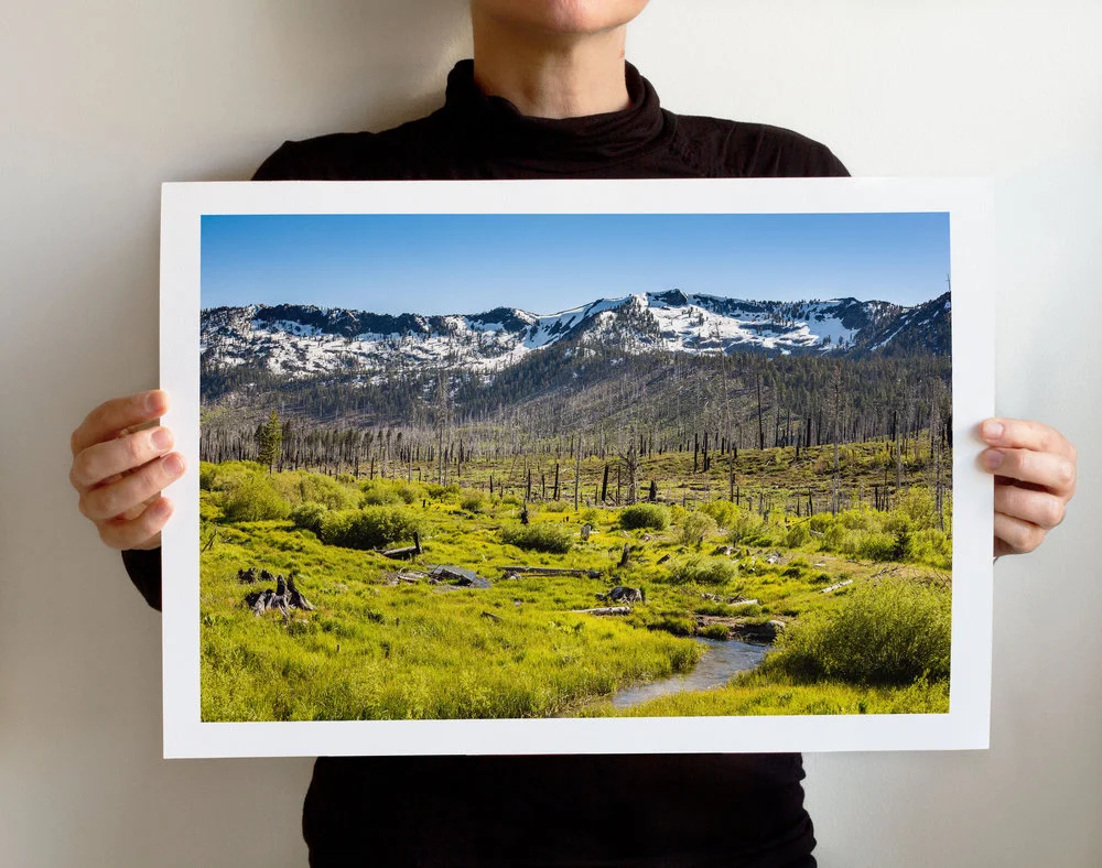 South+Tahoe+2281.jpg,
