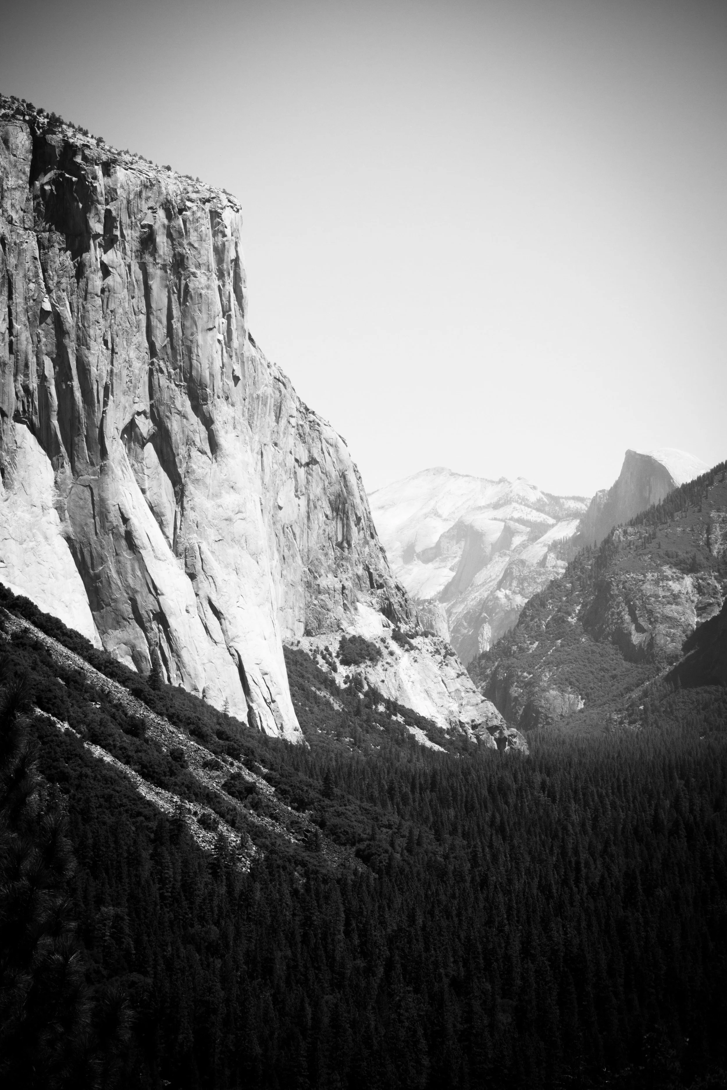 BW El Capitan 8384.jpg