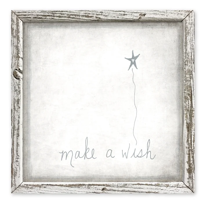 SA_W_WEB_make-a-wish.jpg