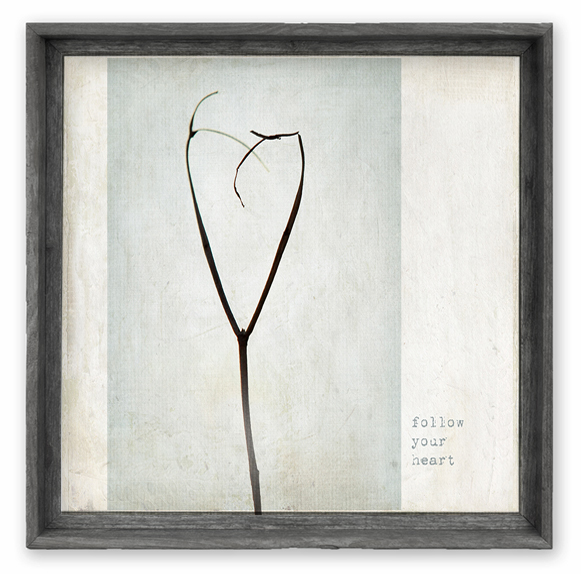 fac-follow-your-heart-gray-frame.jpg