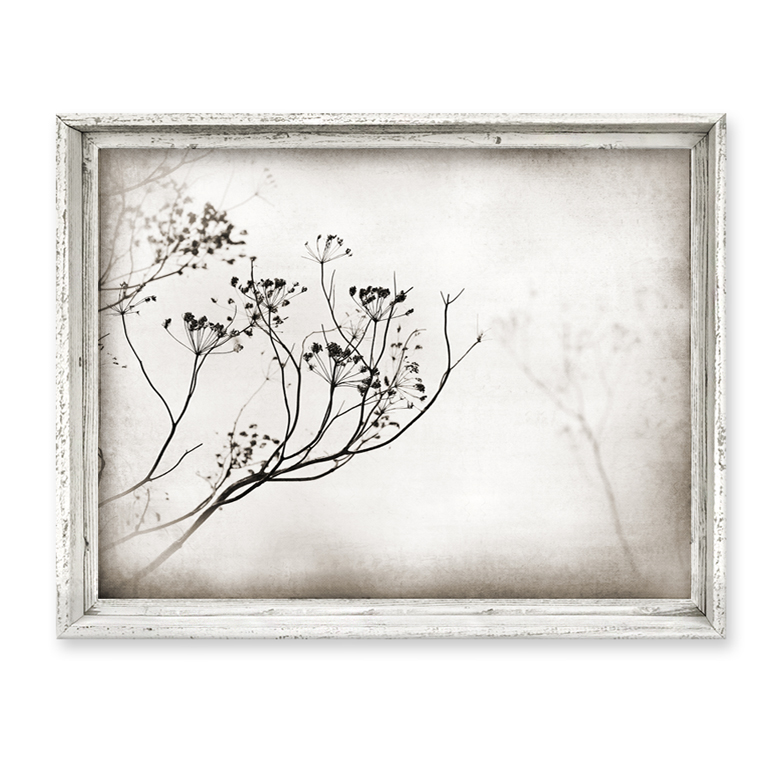 FAC-the-reflection-white-frame.jpg