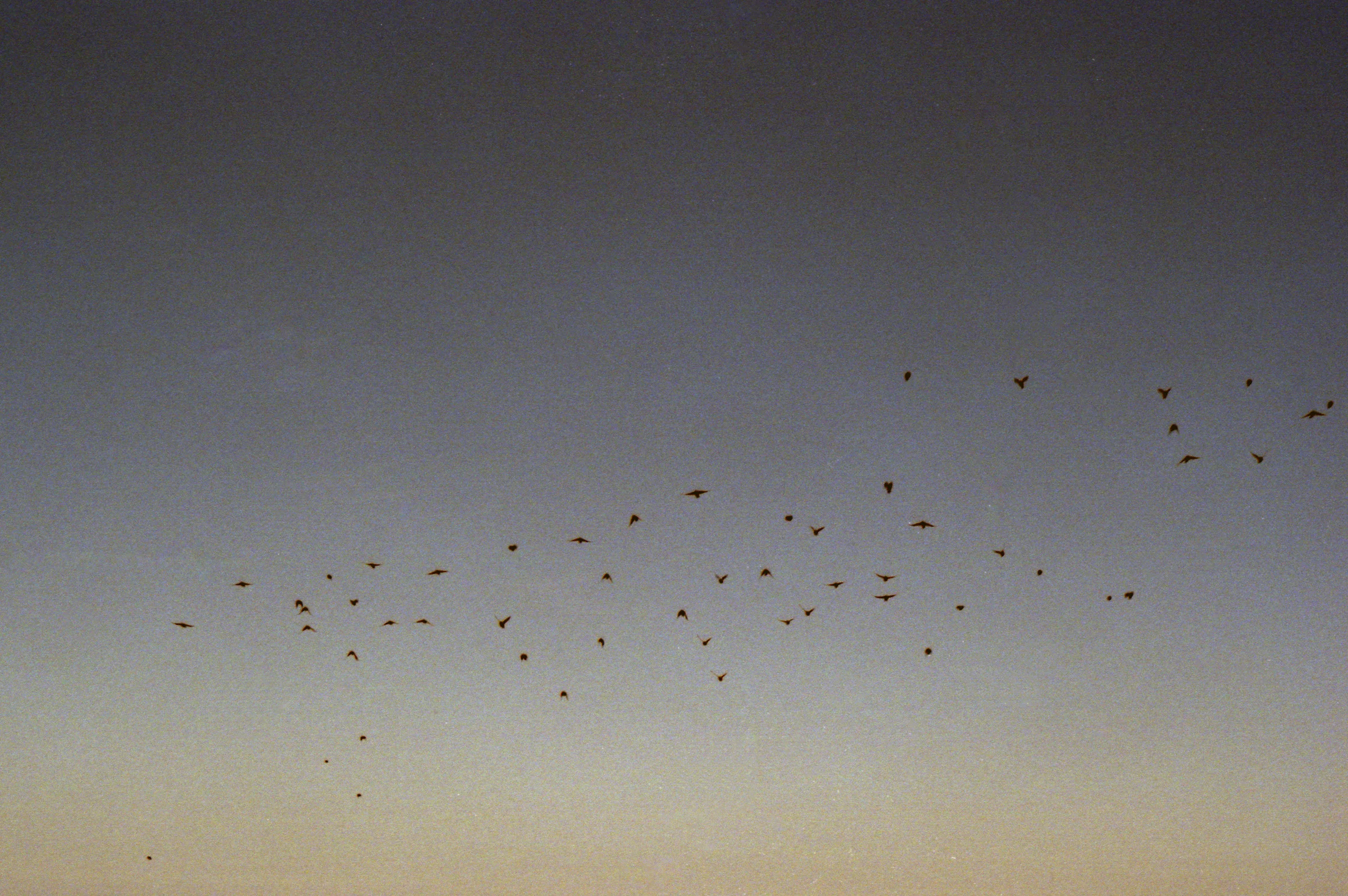 35mm289.jpg
