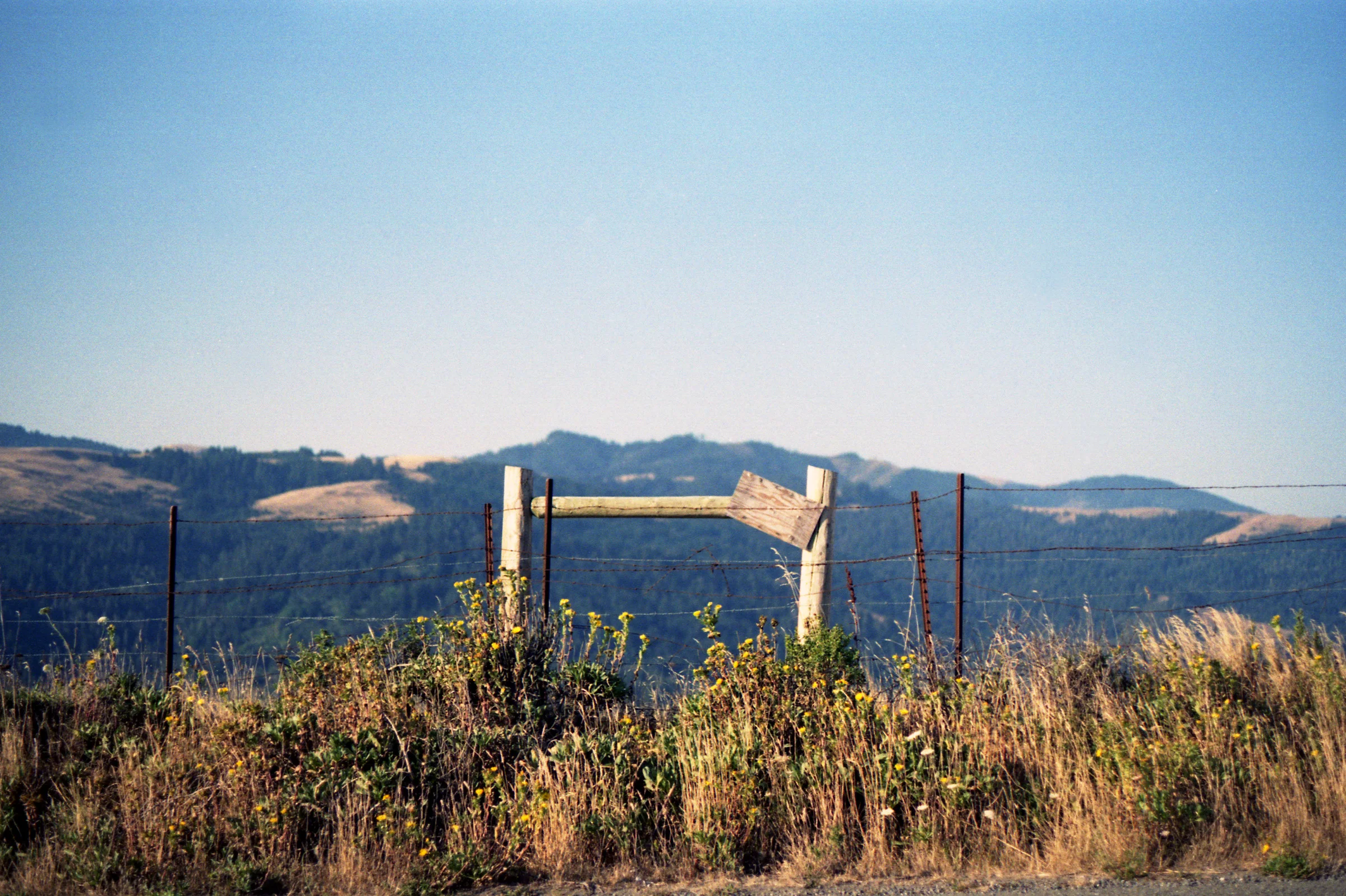 35mm316.jpg