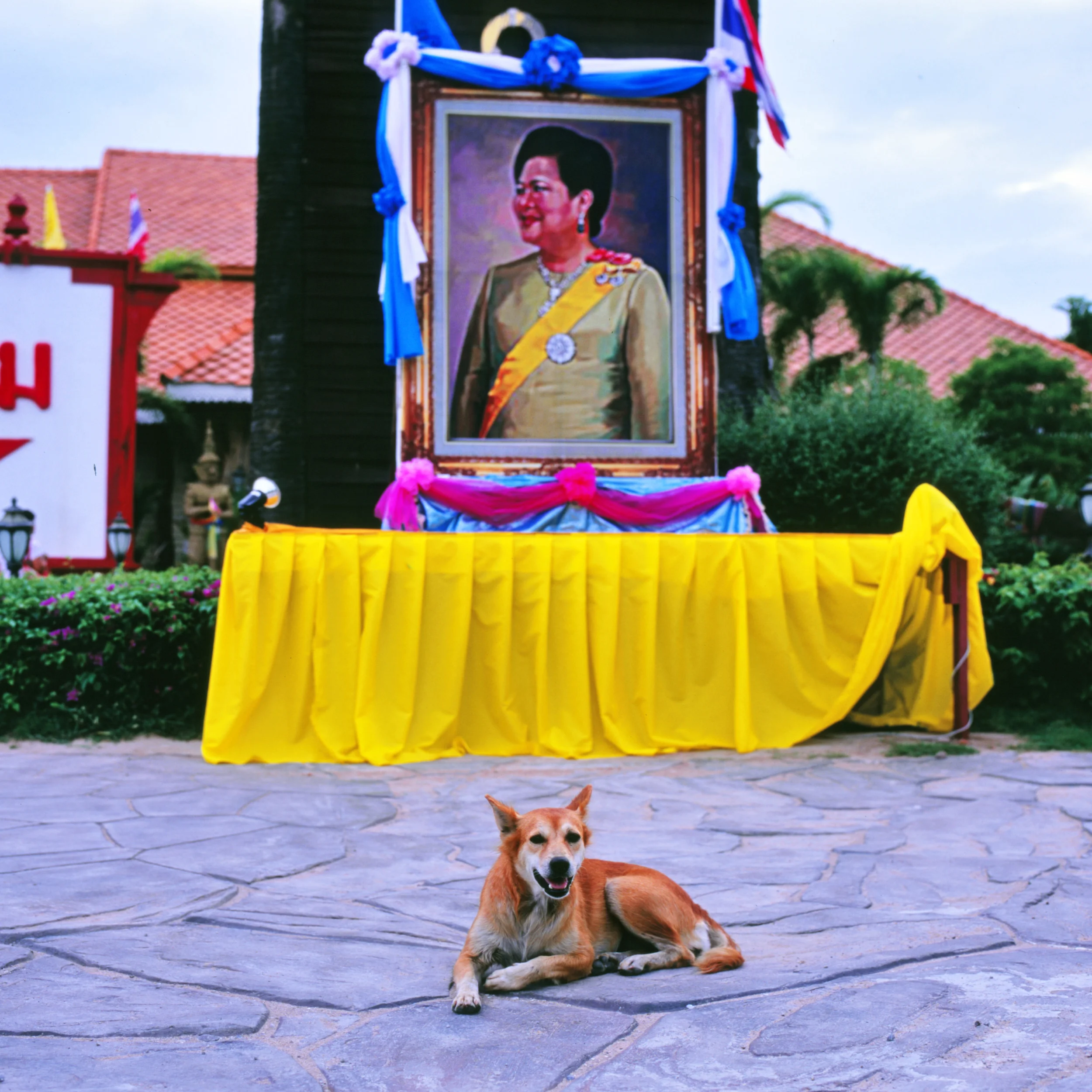 ASIA_0008.jpg