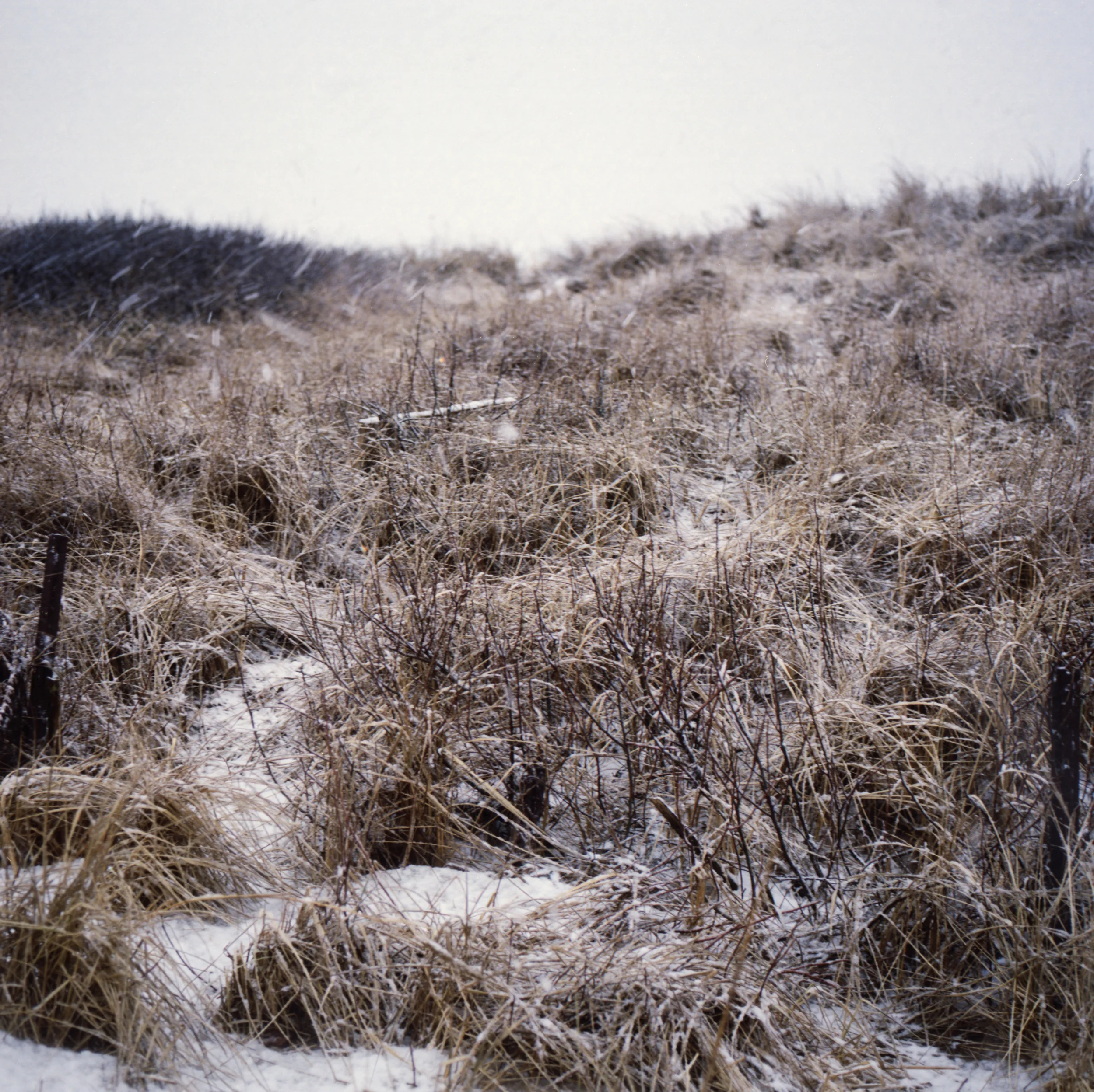 FEB2013_01_0009.jpg