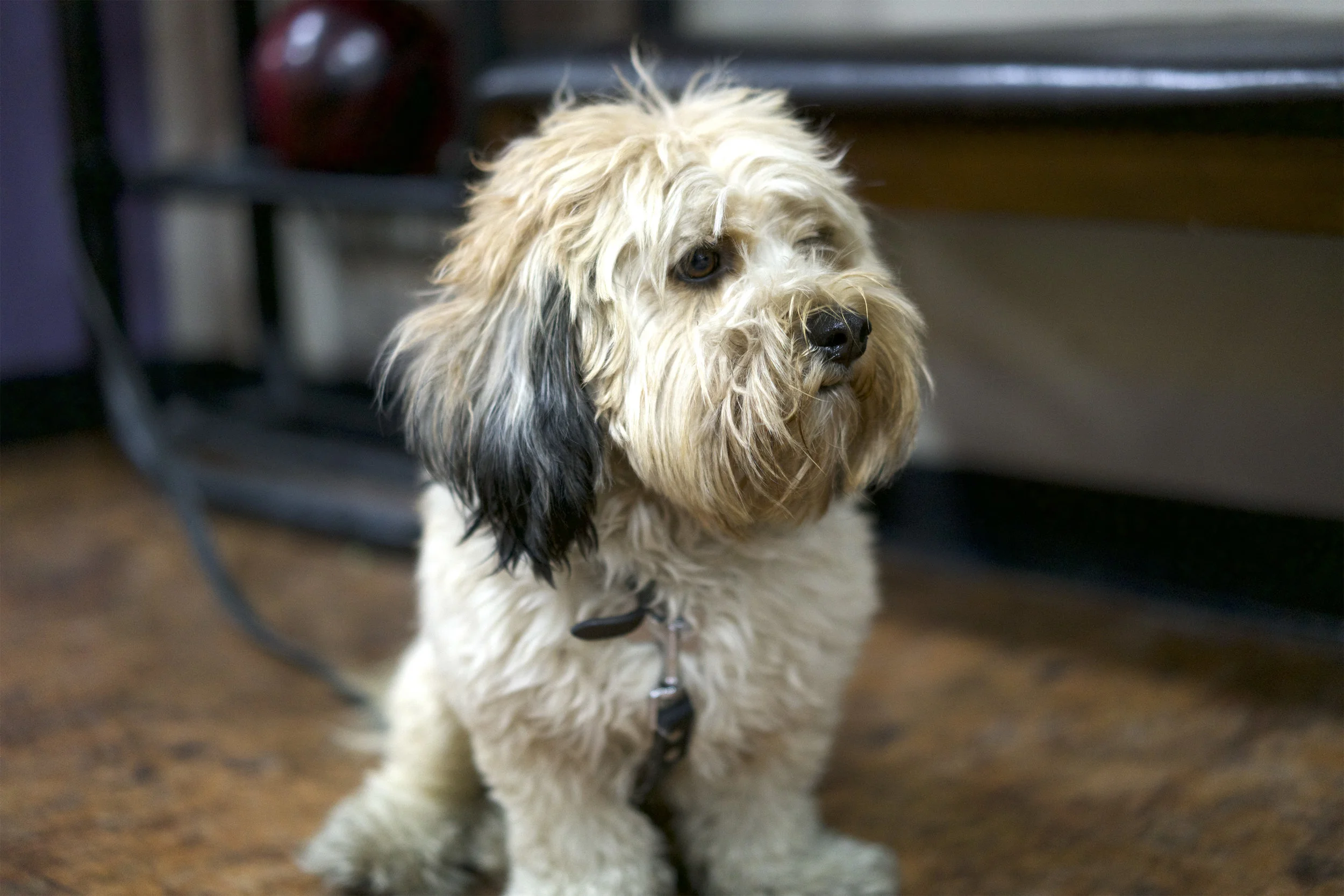 _DSC8795_WALTER.jpg