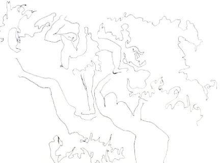 ND3.jpg