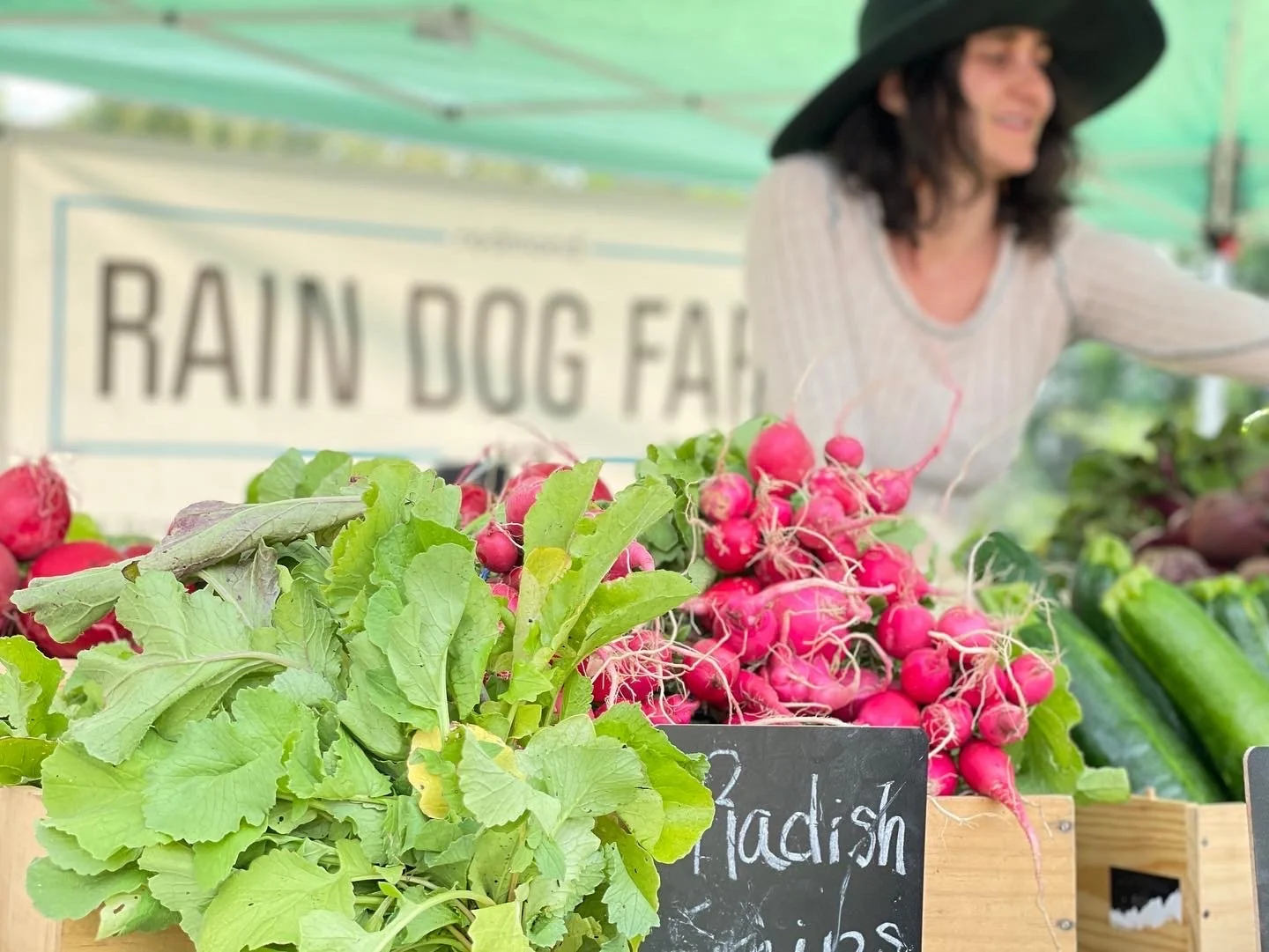Wallingford Farmers Market — SFMA