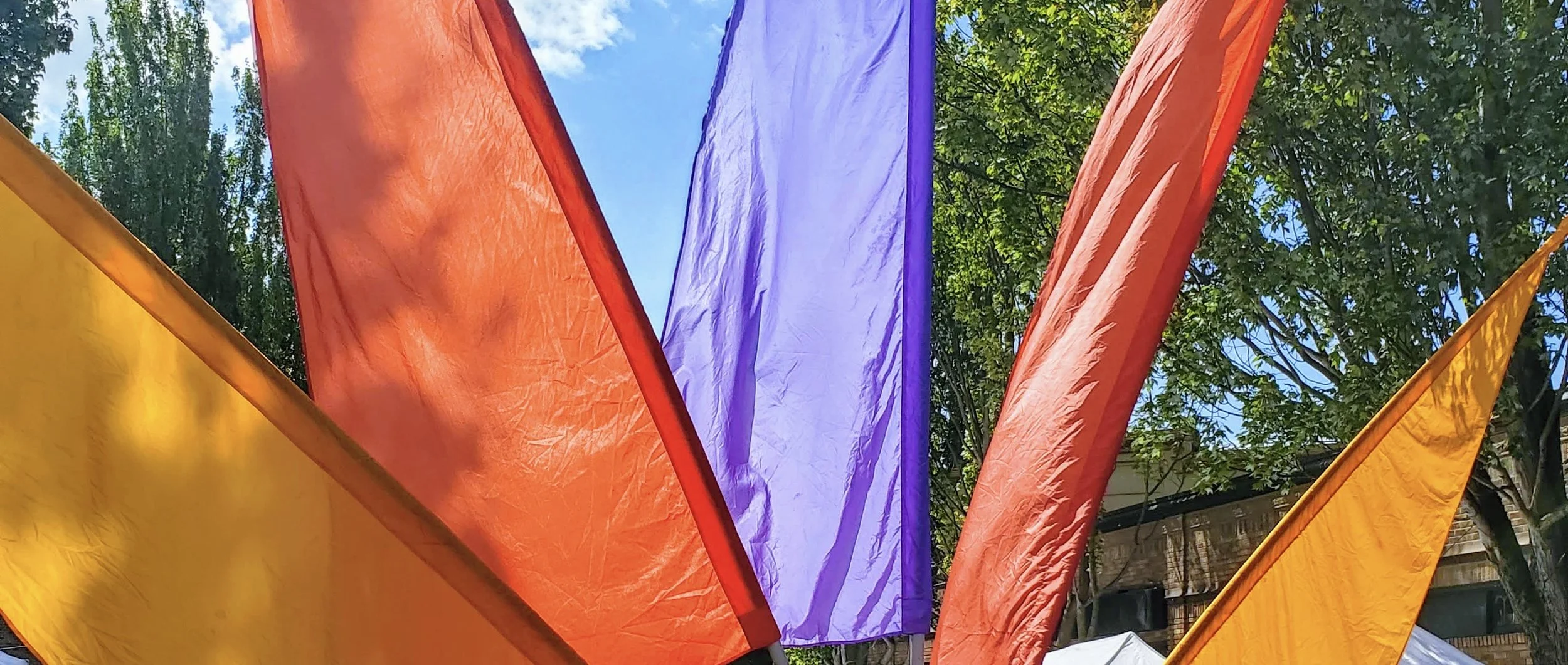 20190825_120651 2.jpg