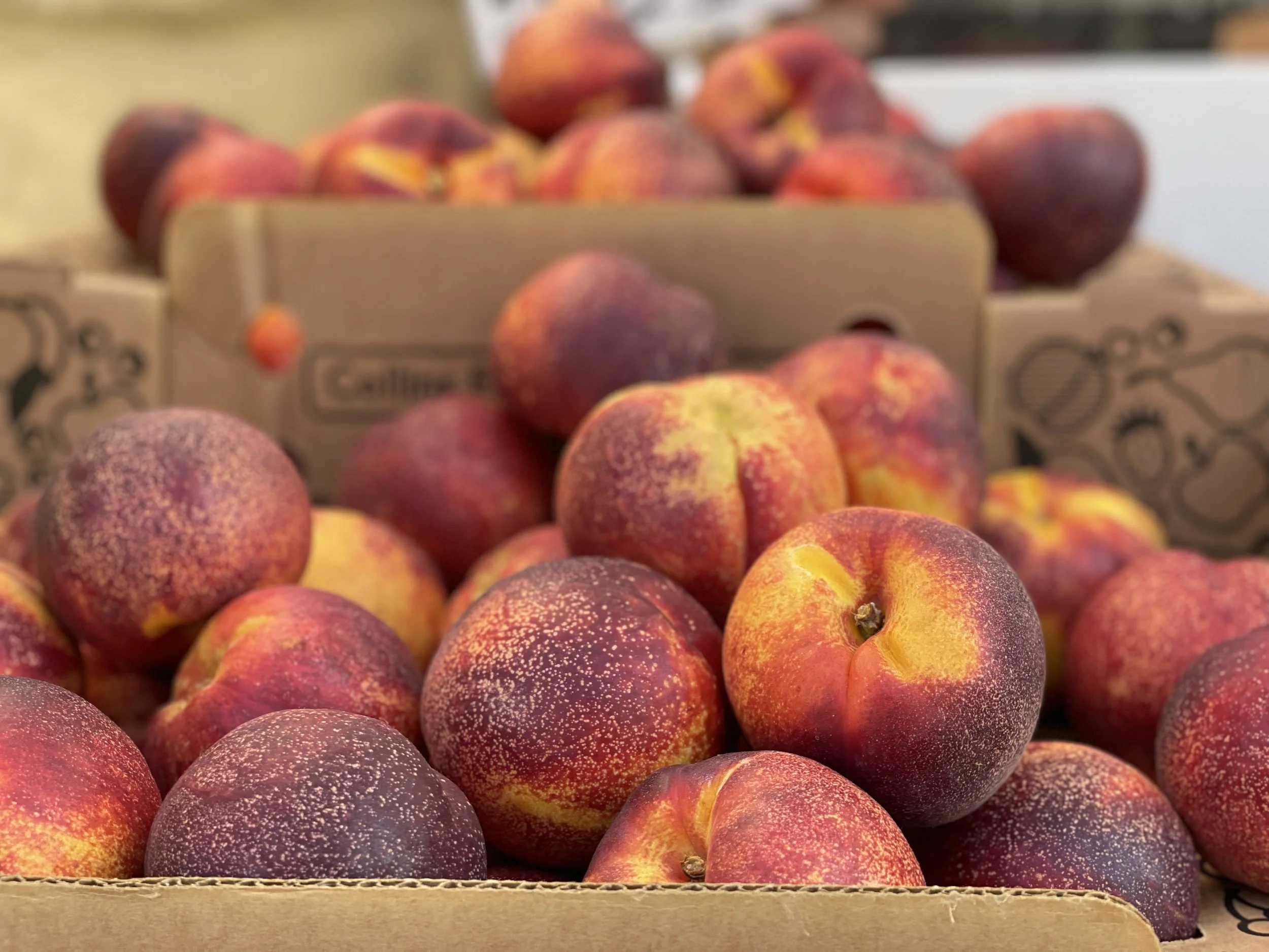 Wallingford Farmers Market — SFMA