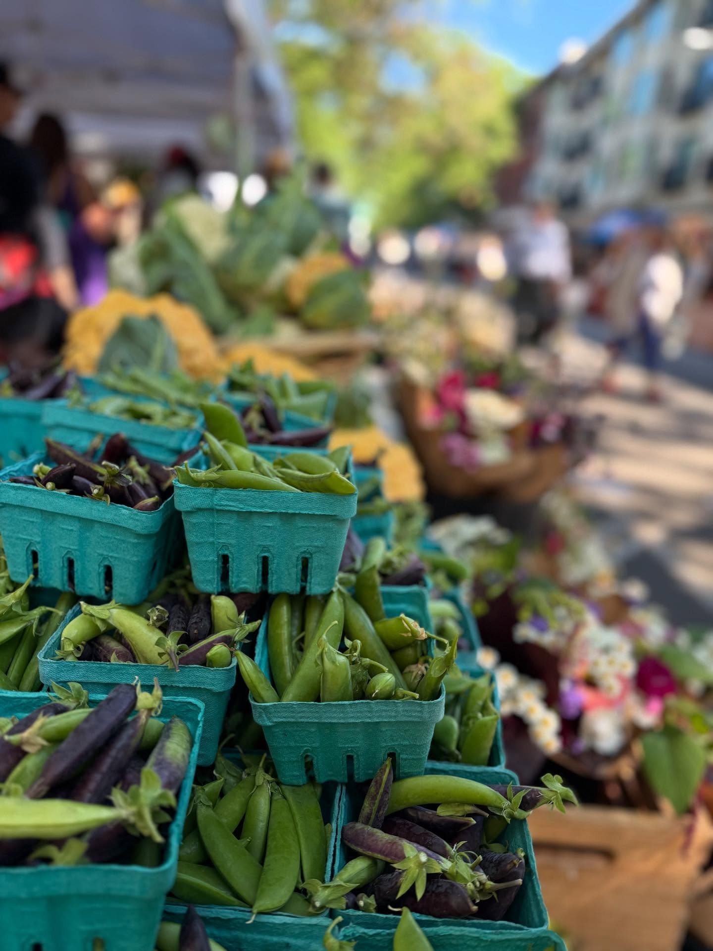 The Ballard Farmers Market is a sunny and glorious place today, filled with everything you desire for that perfect locally sourced market haul!

Grab everyone you know, get on down here, and get yourself some of this summer bounty!

#ballardfarmersma