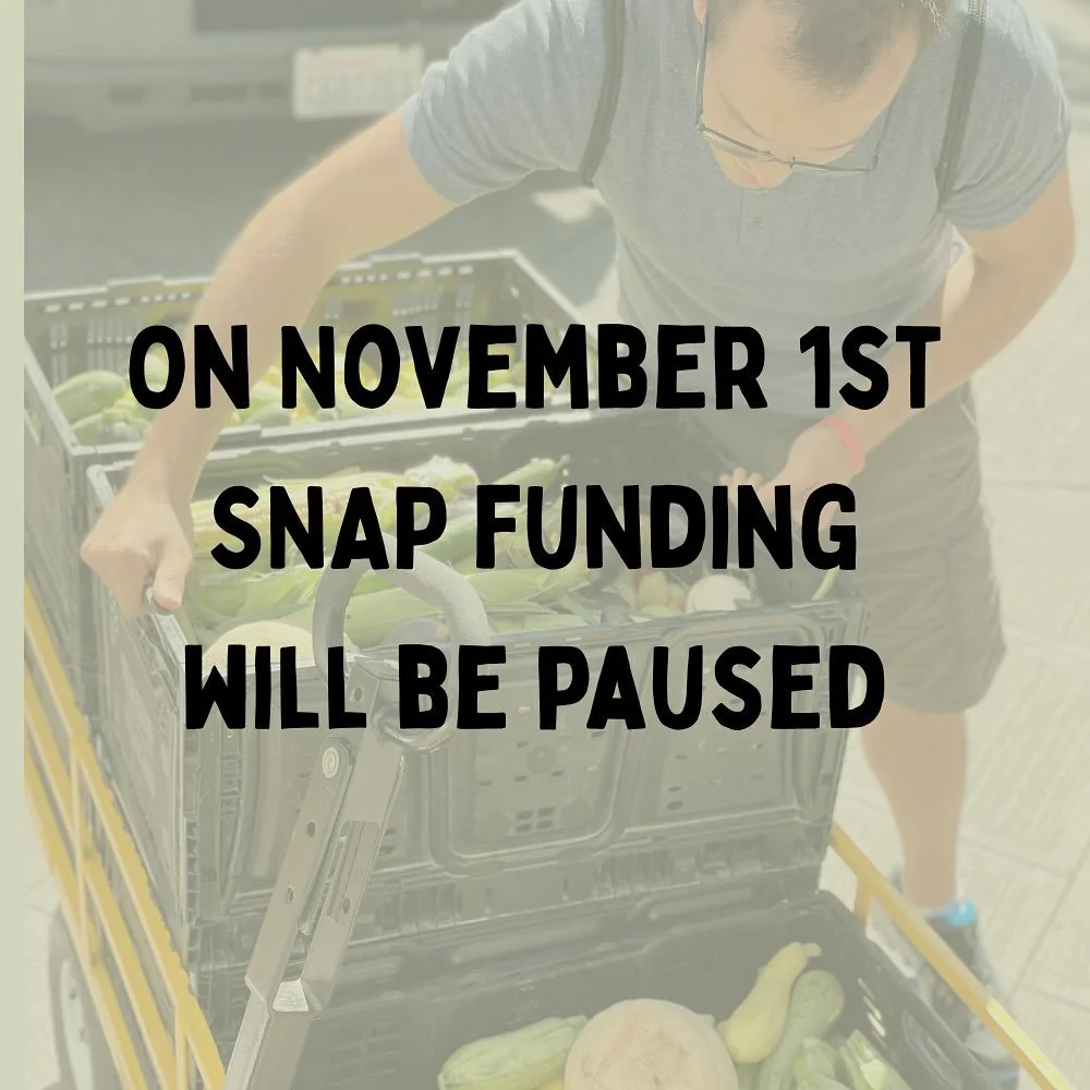 Each Sunday, dozens of shoppers use the SNAP (Supplemental Nutrition Assistance Program) at the Ballard Farmers Market to buy fresh food directly from local farmers. Starting November 1, SNAP funding will be paused during the government shutdown, tem