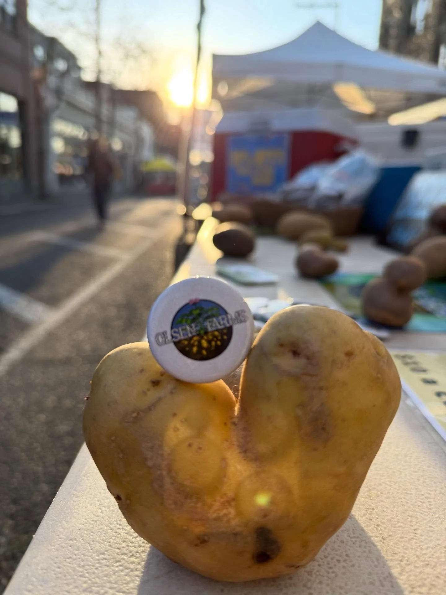 Come feel all the love and sunshine at the Ballard Farmers Market today and get yourself that post thanksgiving market haul! 

There is so much goodness waiting for you, see you soon!

#ballardfarmersmarket 
#farmersmarket 
#supportlocal 
#ballardsea