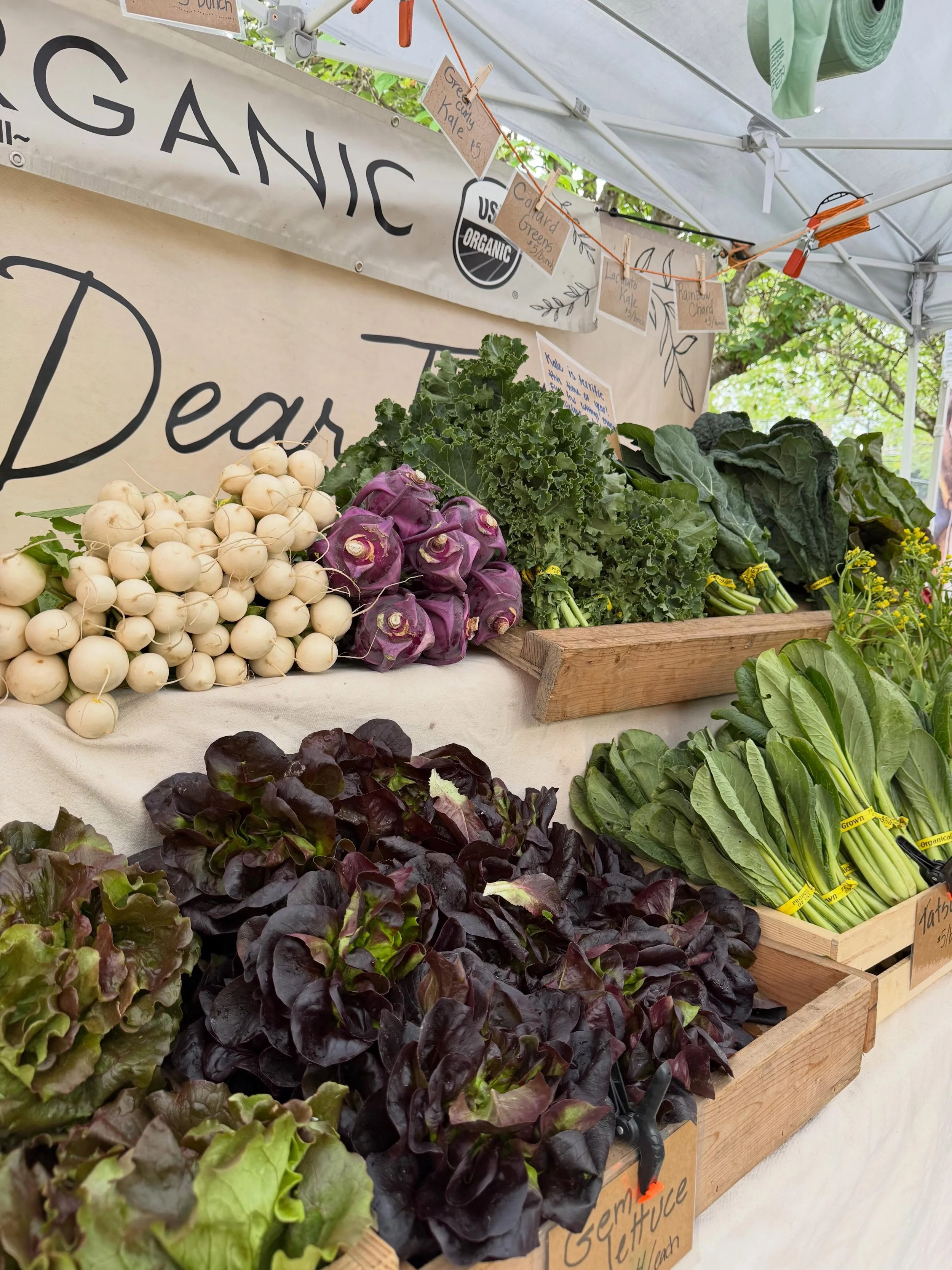 Don&rsquo;t miss out on you chance to get your weekly Madison Park Farmers Market market haul today! We have everything you need to make your week a locally sourced delicious success!!!

We are here along the park until 2PM!

#madisonparkfarmersmarke