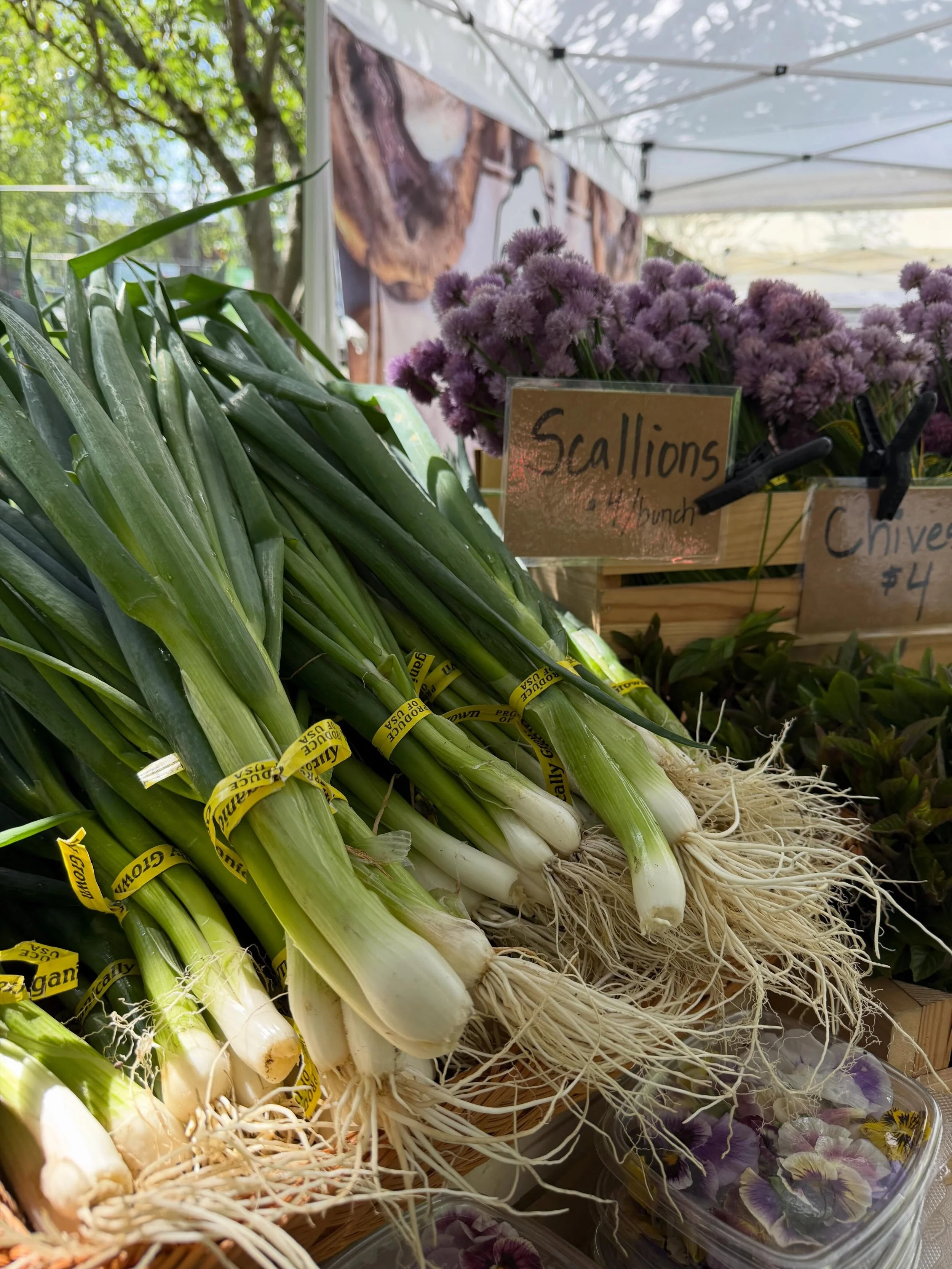 Cherries, strawberries, scallions, popsicles, and so much more await you at the Madison Park Farmers Market today! 

Come on over, bring all your favorite people, and support local farmers and processors, all while getting that epic market haul!

We 