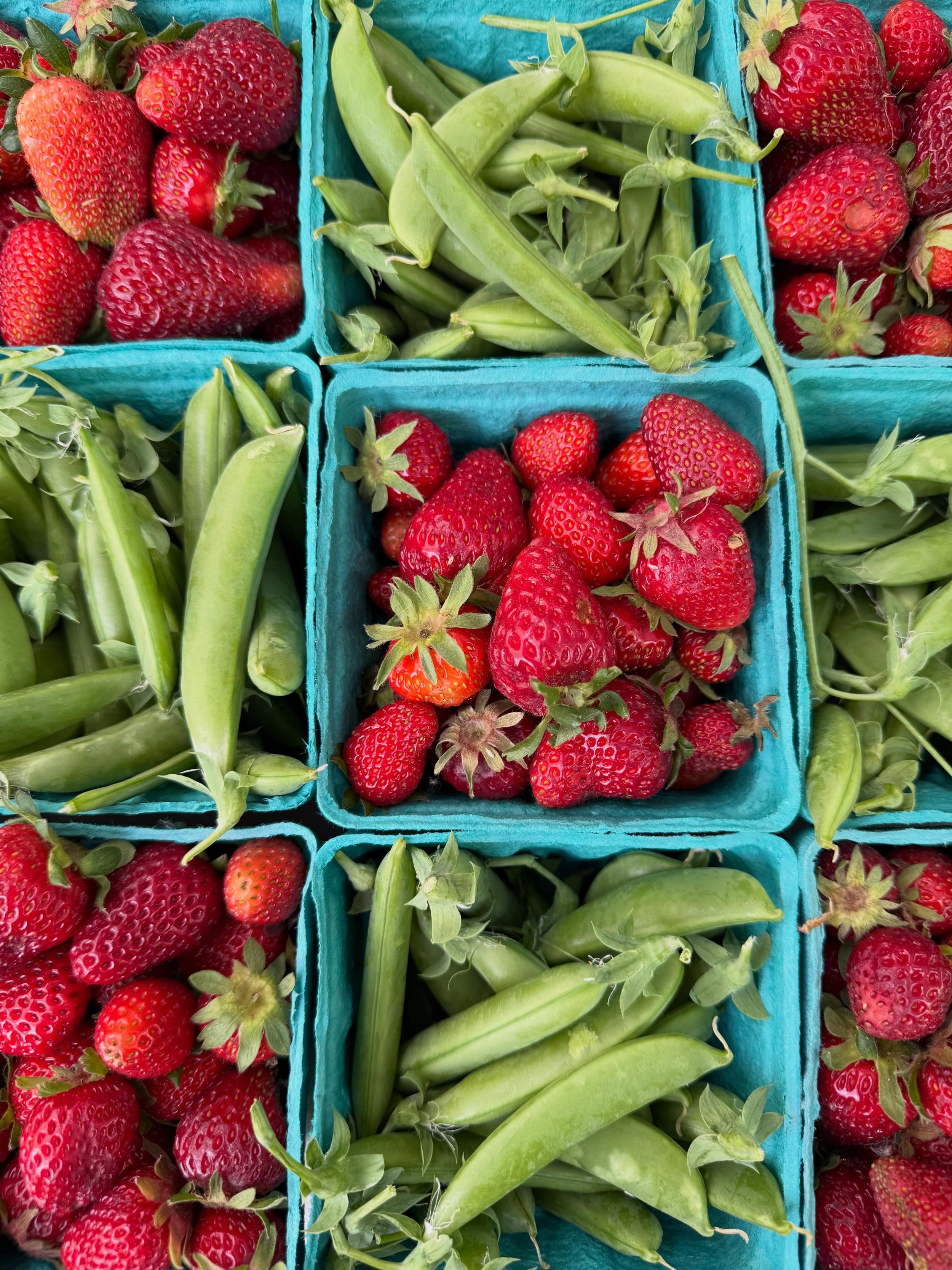 It&rsquo;s Saturday morning and you know what that means? You should be here getting your summertime market haul at the Madison Park Farmers Market!

We have all the good stuff here just waiting for you, we&rsquo;ll be here until 2PM!

#madisonparkfa