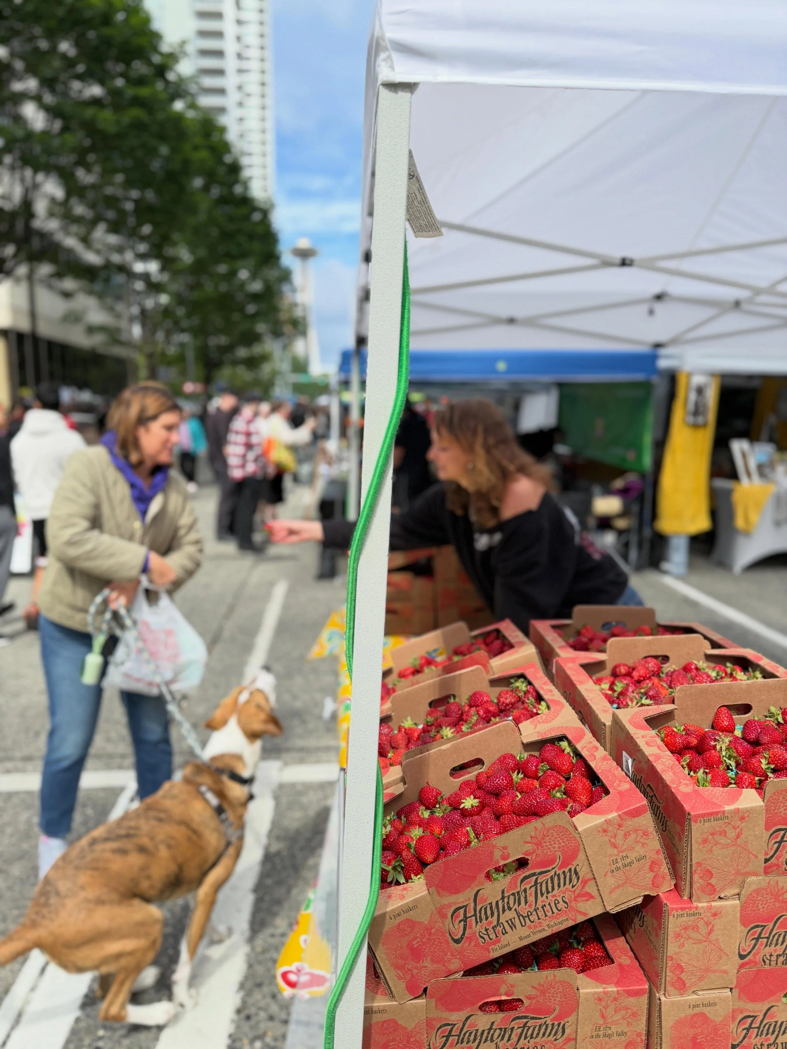 We hope everyone had a blast at the first @slufarmersmarket market of the season! 

Enjoy those delicious market hauls and we can&rsquo;t wait to do it again next Saturday, same time, same place!

#slufarmersmarket 
#southlakeunionfarmersmarket 
#sup