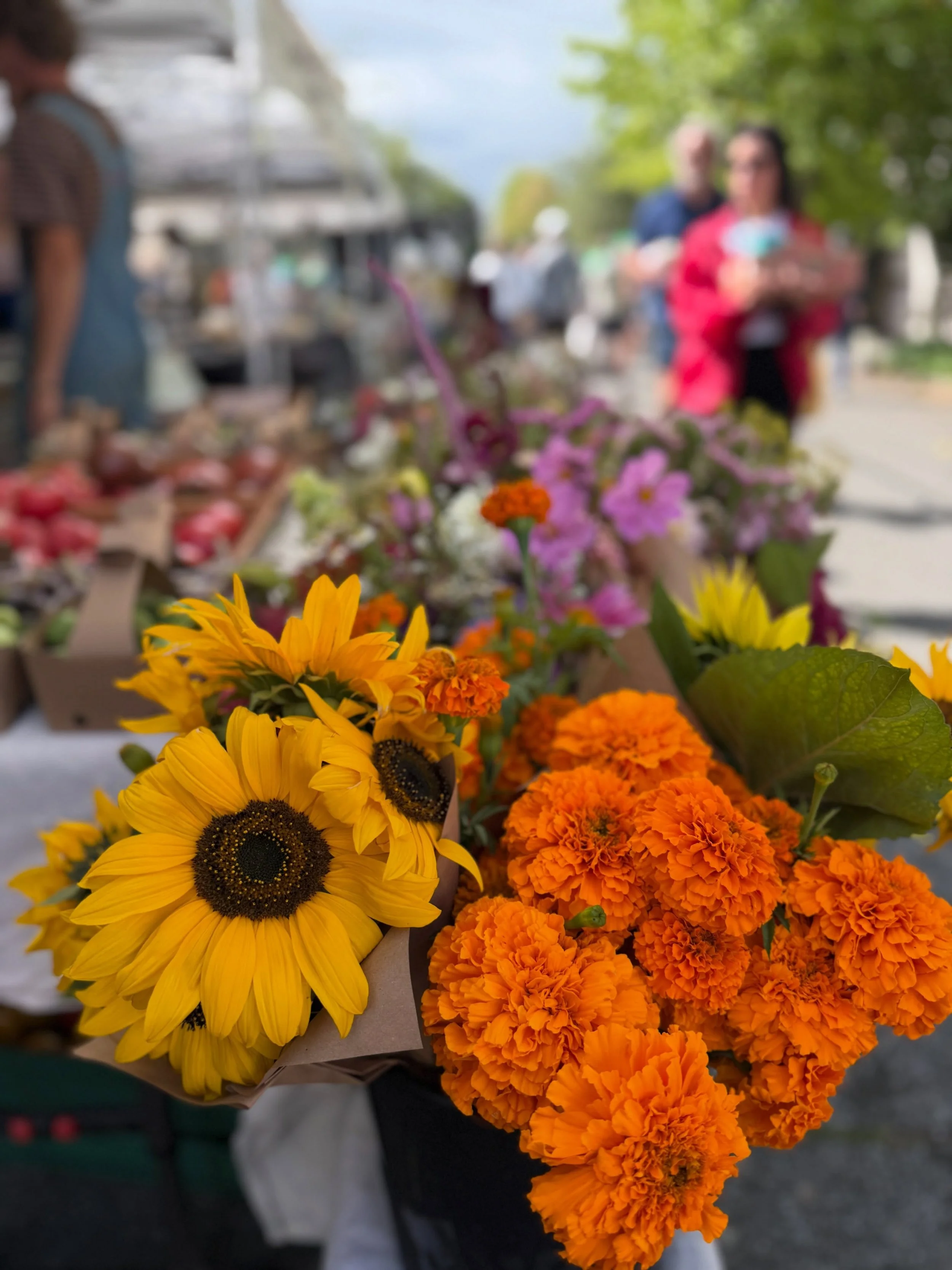 They say a picture is worth a thousand words, here are 15 pictures(or 15k in words) from the Madison Park Farmers Market today.

Come on down to the Madison Park today, support local farms, and get yourself a epic summertime market haul!

#madisonpar