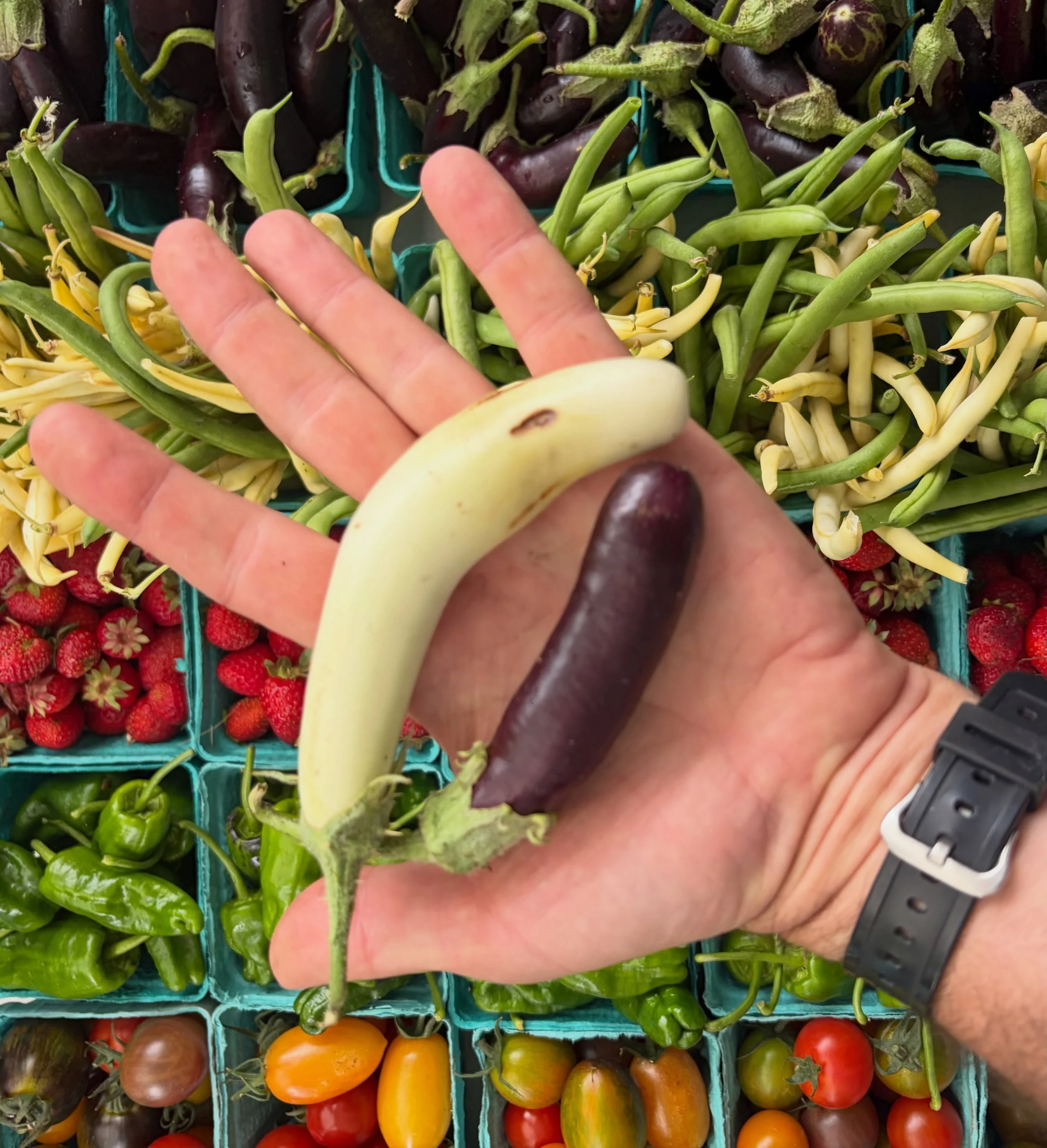 Everything you need for that perfect market haul can be found at the Madison Park Farmers Market today! 

Support local farms and vendors while eating fresh, we are here until 2PM and can&rsquo;t wait to see you!

#madisonparkfarmersmarket 
#supportl