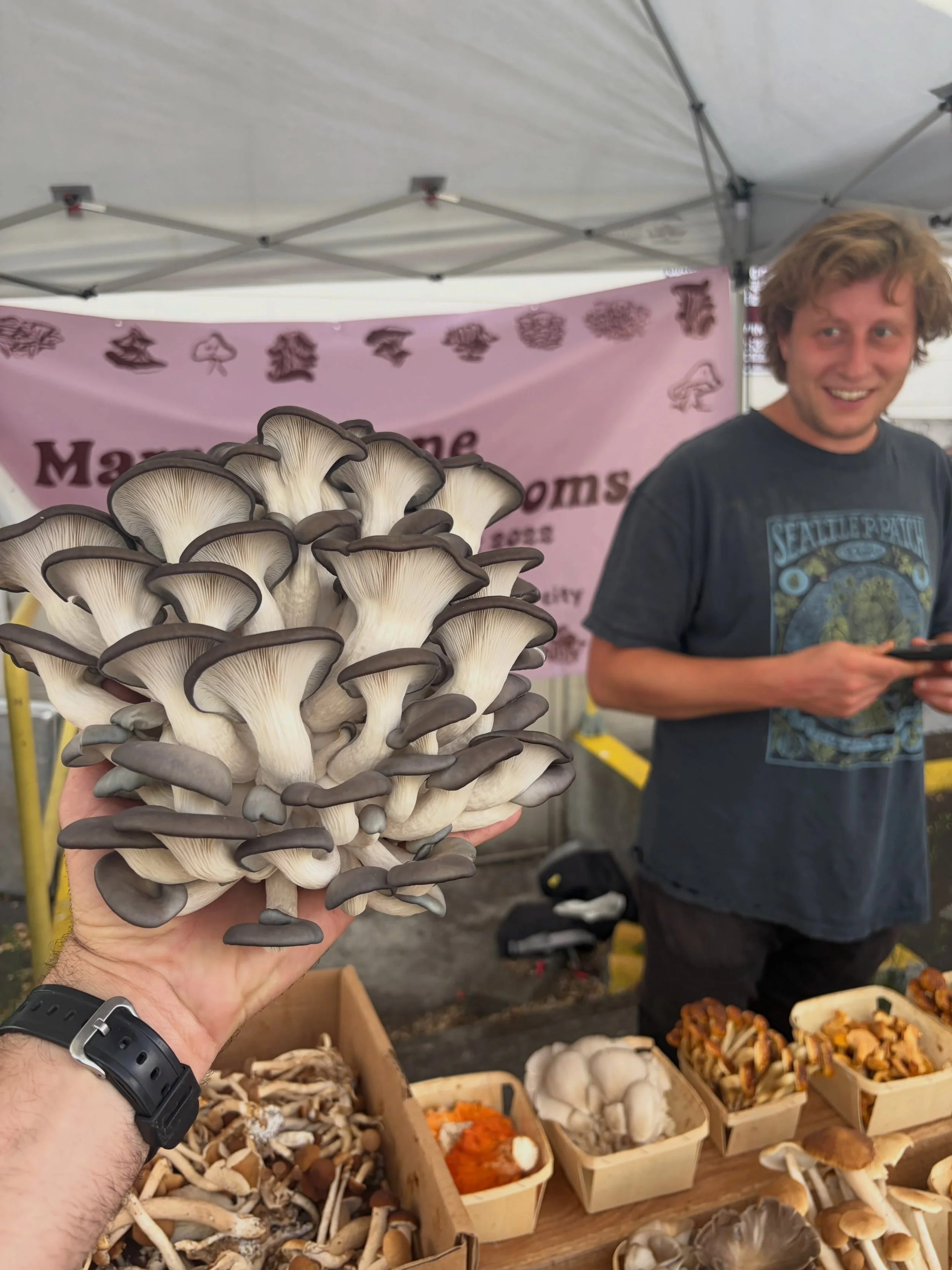 It&rsquo;s the perfect Friday afternoon for a market haul from the Central District Farmers Market!

Come on over, see what&rsquo;s in season (hint:tomatoes) and set yourself up for the next week with fresh veggies and fruit.

#centraldistrictfarmers