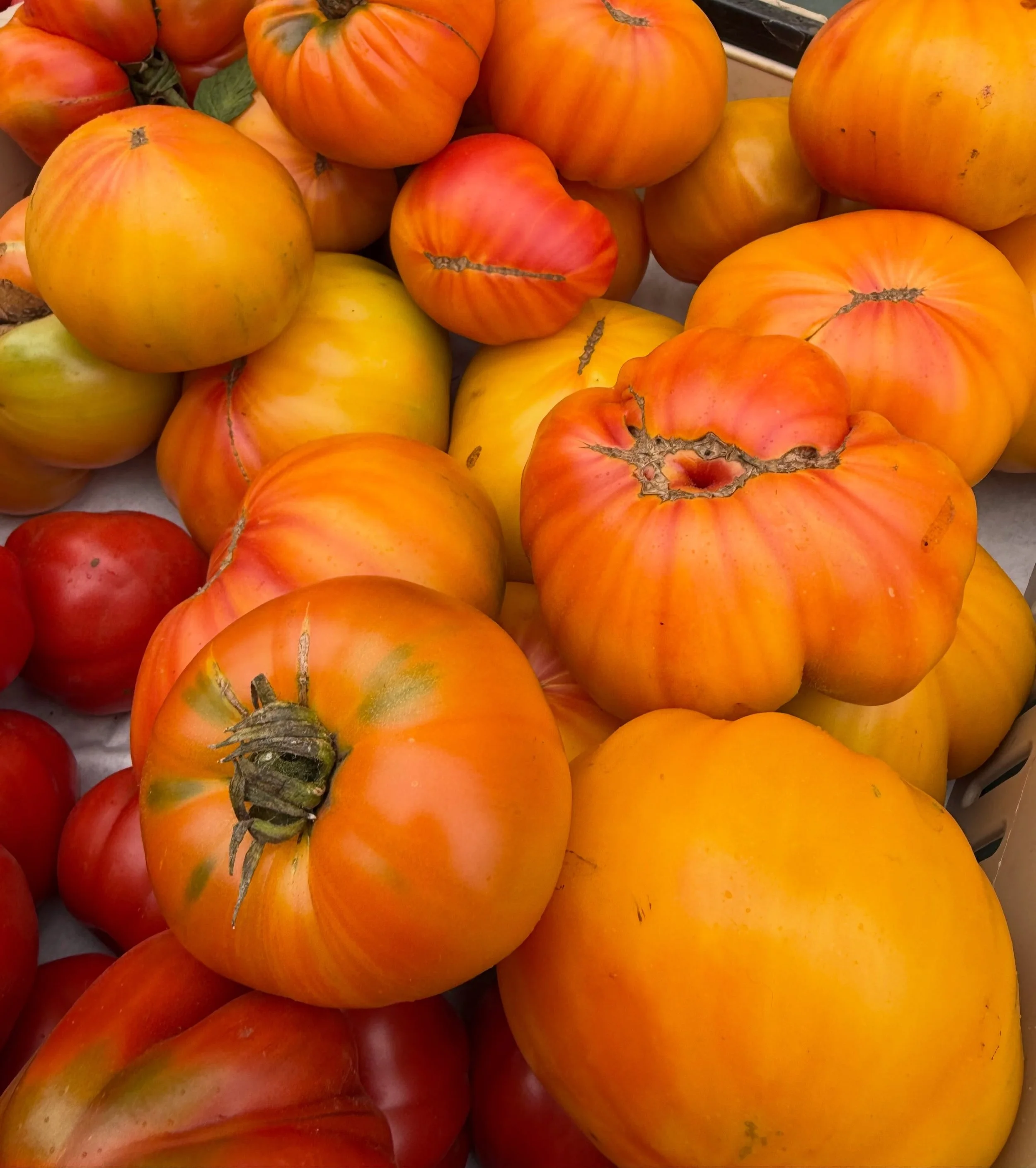 Your Saturday morning market haul awaits you at the Madison Park Farmers Market! There is so much in season you might need a extra bag (or 2)

See you soon, we are here until 2PM!

#madisonparkfarmersmarket 
#supportlocal 
#knowyourfarmer 
#madisonpa
