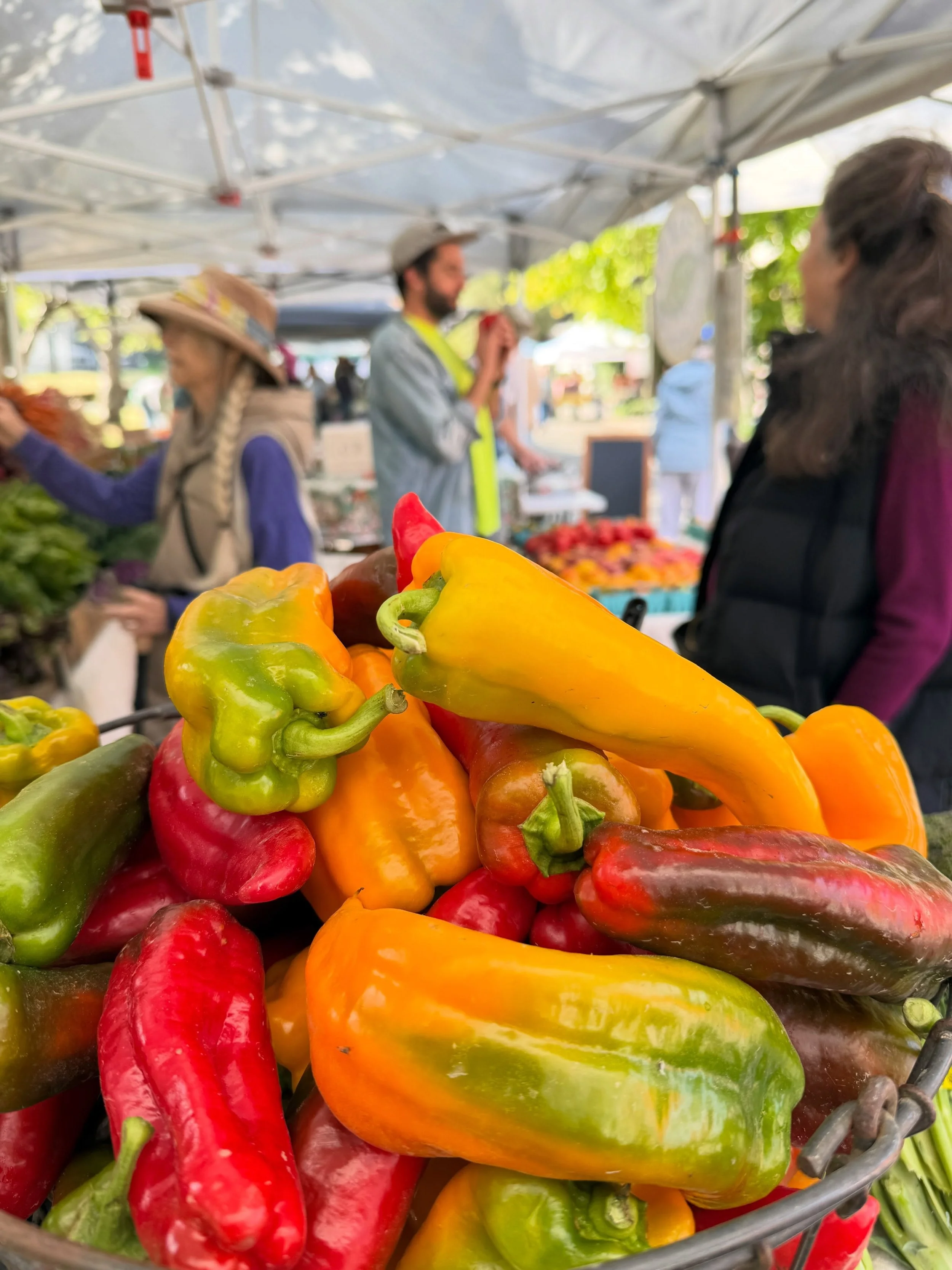 Summer is hanging on and the Madison Park Farmers Market is full of the most beautiful veggies and fruit you can imagine!

Come on down, get yourself a Labor Day weekend market haul, and enjoy a sunny day on the Madison Park beach!

#madisonparkfarme