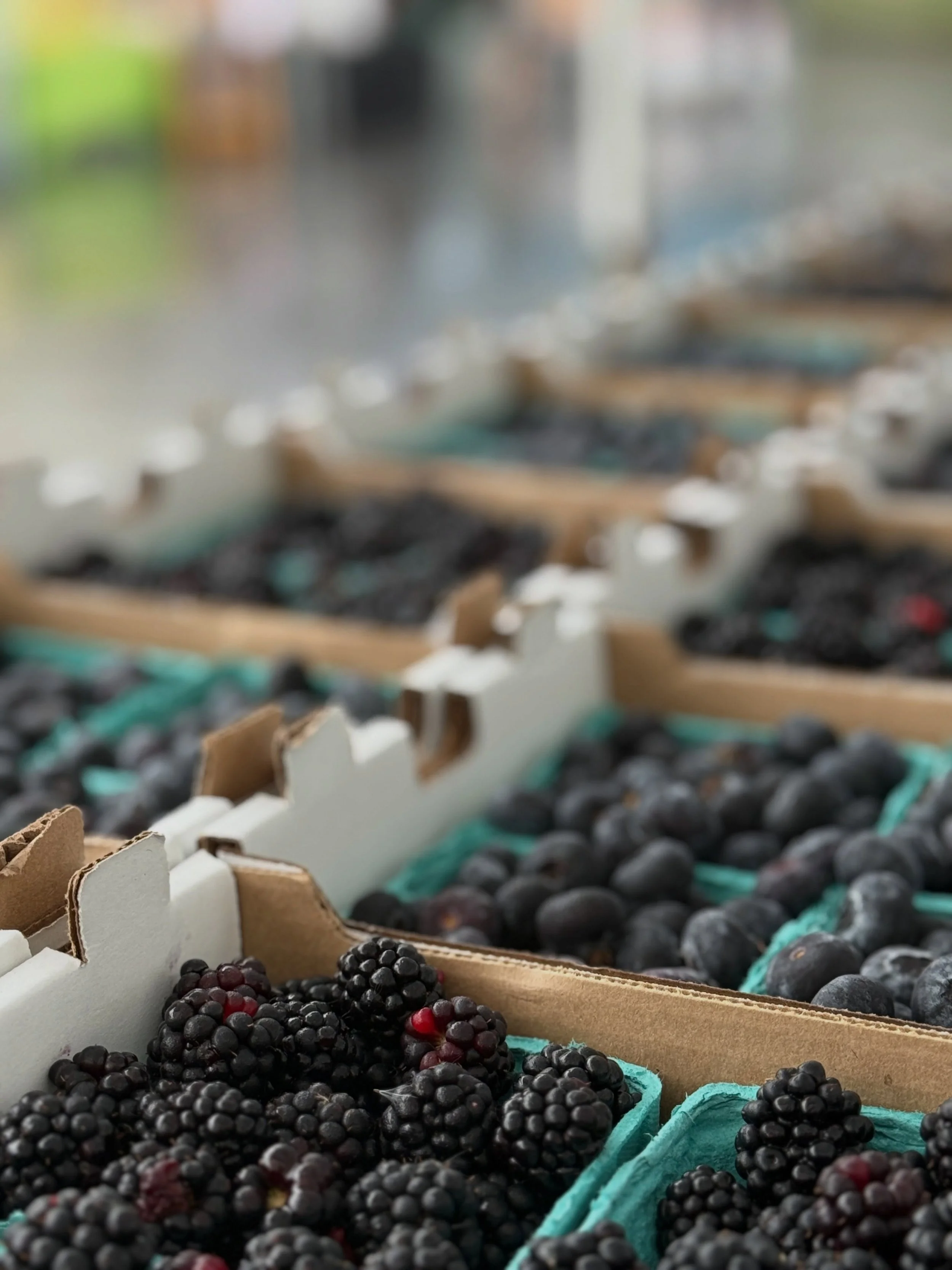 You say you like September? 

You can&rsquo;t cherry pick days but you can blueberry, plum, peach, corn, pepper and tomato pick!

Rain or shine, the market and our amazing farmers and vendors show up. We depend on all of you showing up today at the C