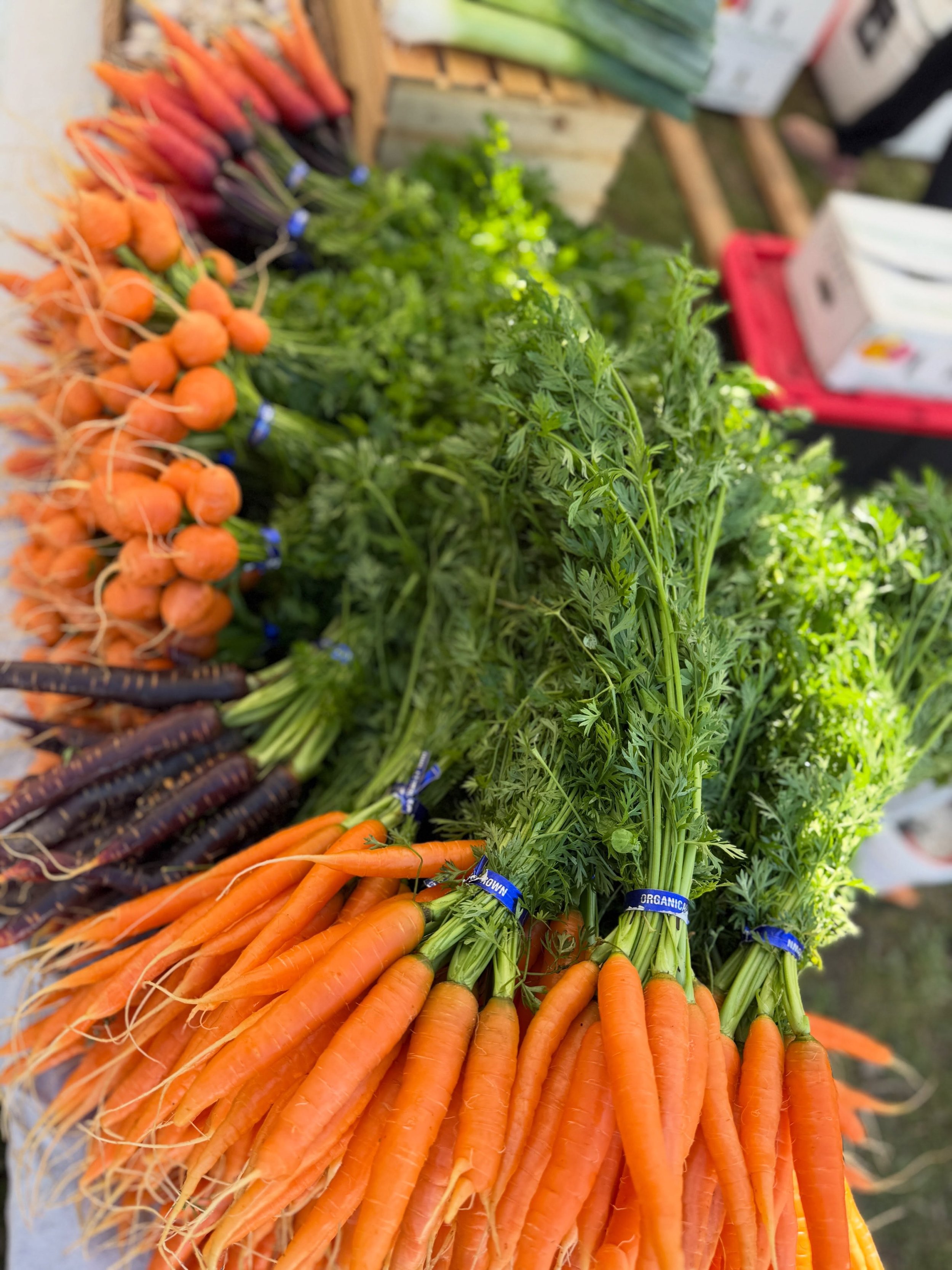It&rsquo;s the final market of the season for the Wallingford Farmers Market and you do not want to miss out! 

Come enjoy a sunny fall day in the park and let these amazing farmers and vendors know how much you appreciate them!

We can&rsquo;t wait 