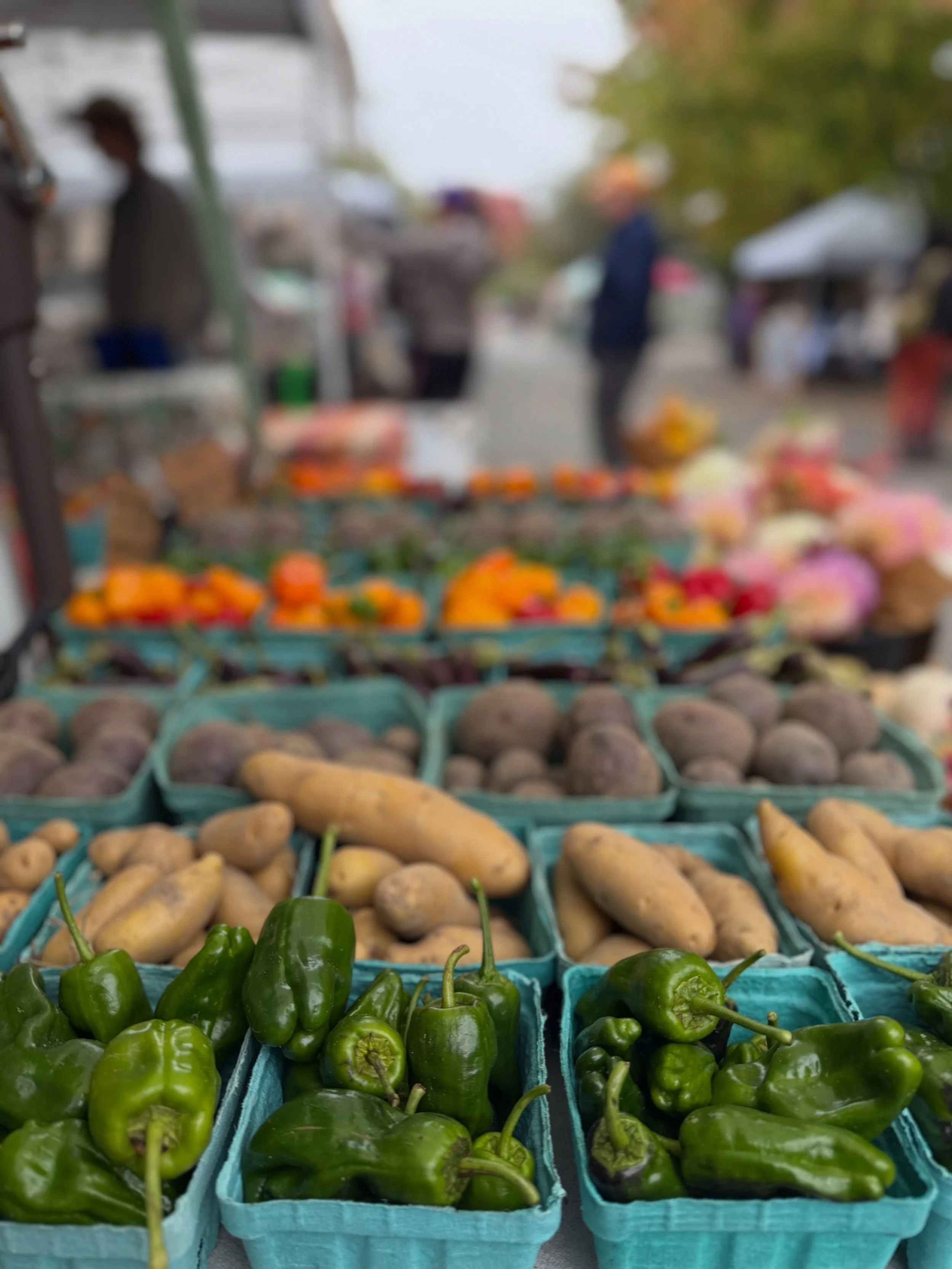 Saturday has arrived and the Madison Park Farmers Market is here to help you get that weekly market haul!

Just 3 more weeks left in the season (including today) so come out and support the local farmers and vendors that have shown up all summer long